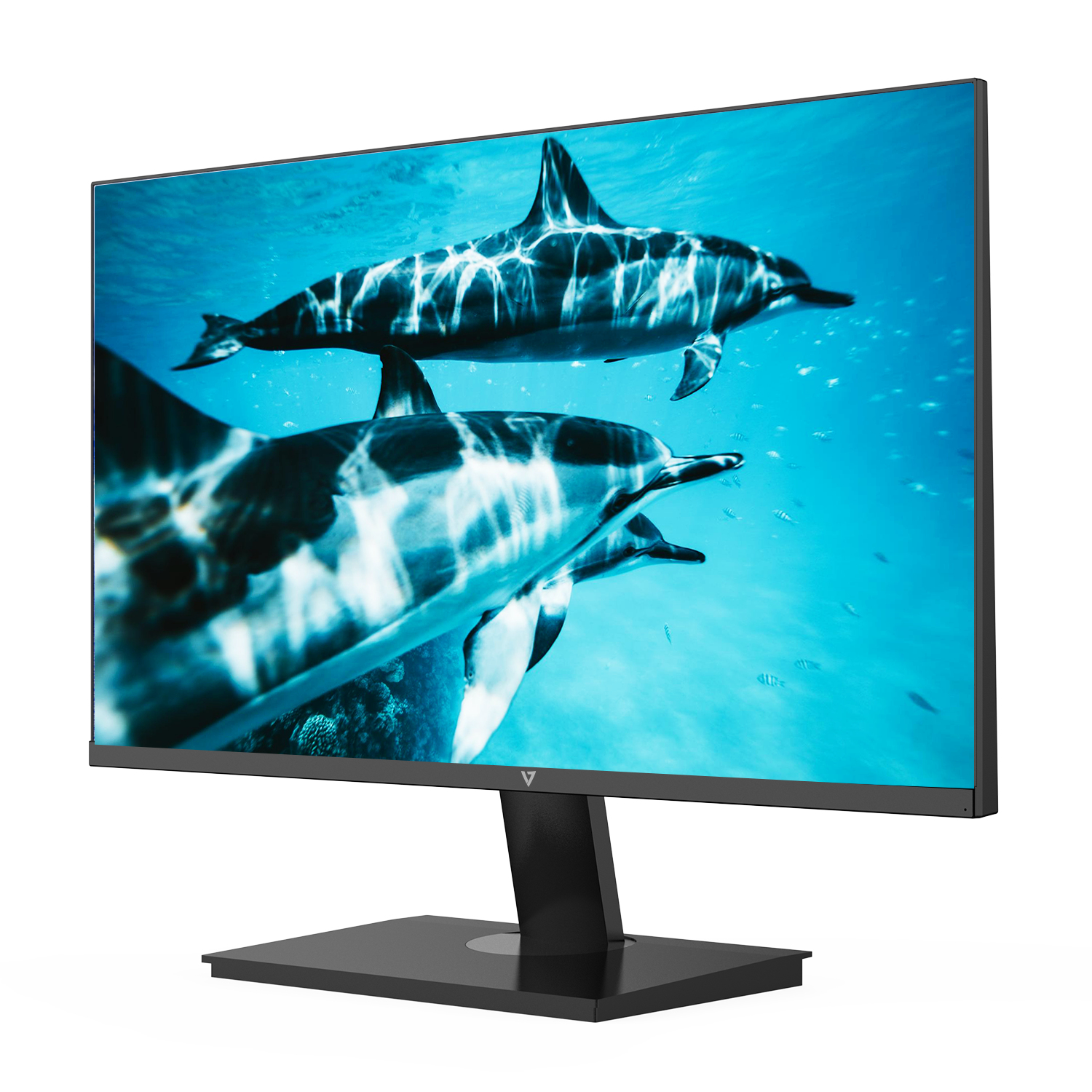 Un monitor que muestra delfines bajo el agua en un entorno azul.