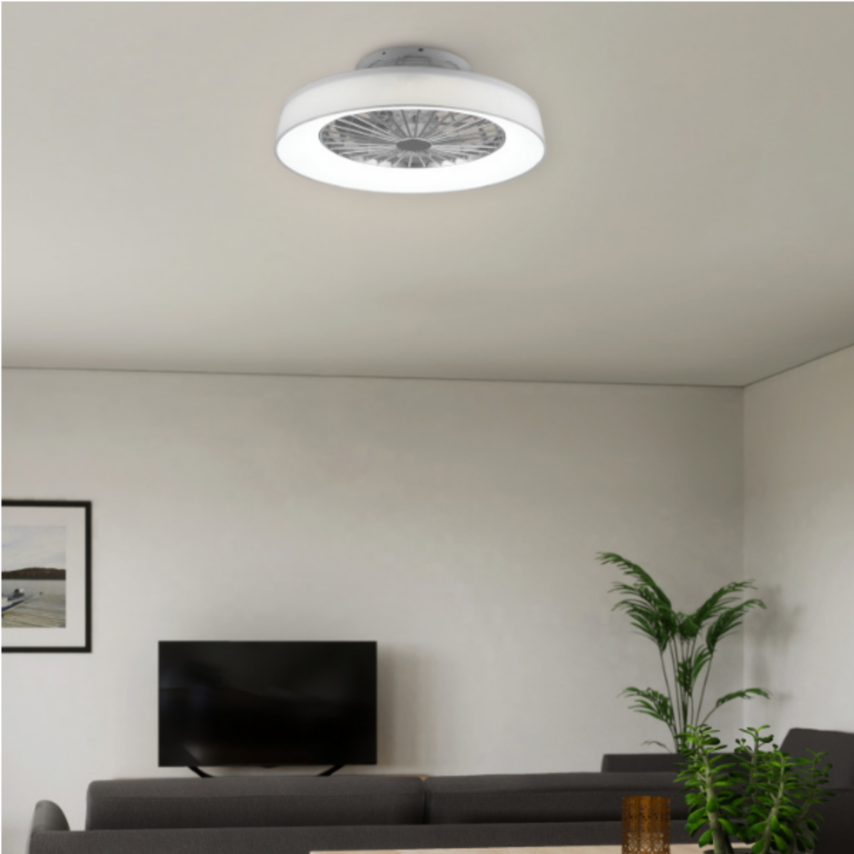 Soggiorno con ventilatore da soffitto con luce, divano e pianta.