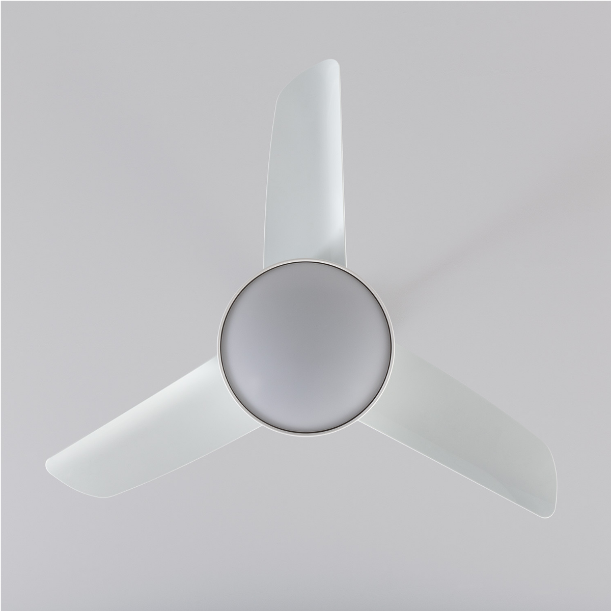 Ventilatore da soffitto bianco con tre pale. La ventola è vista dal basso su sfondo bianco.