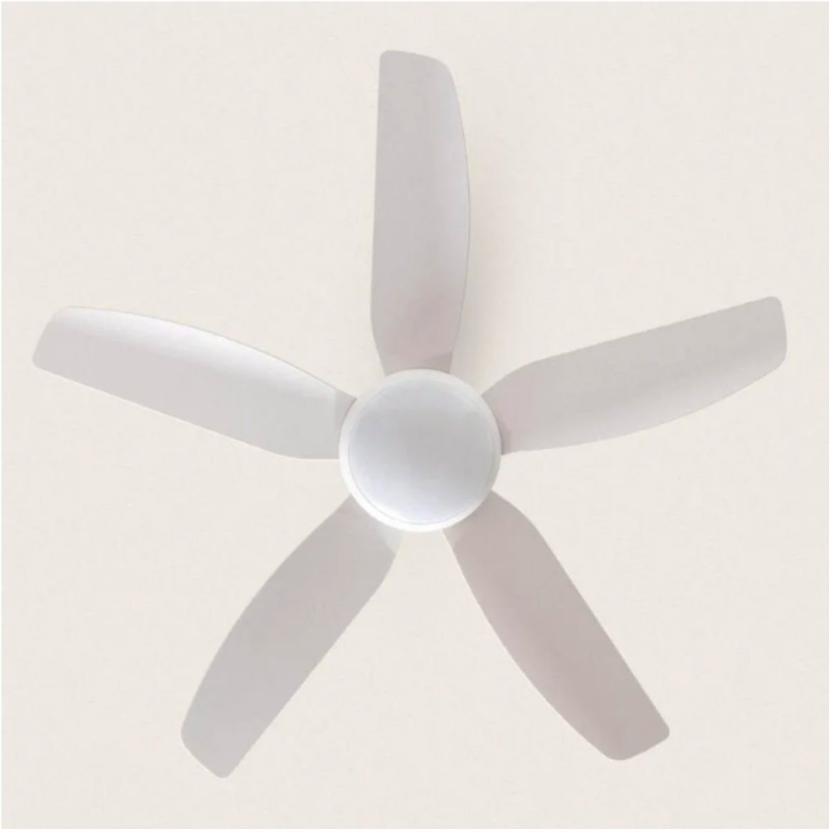 Ventilatore da soffitto bianco con cinque pale bianche, contro un soffitto color crema.