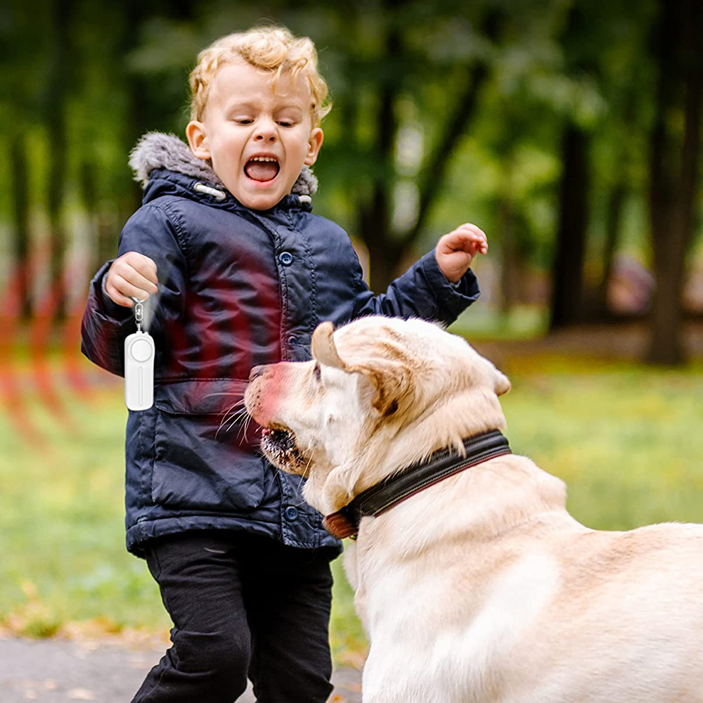 Ein Junge mit weißem Gegenstand, ein Hund und ein Parkhintergrund. Der Junge schreit. Text: Alarm.