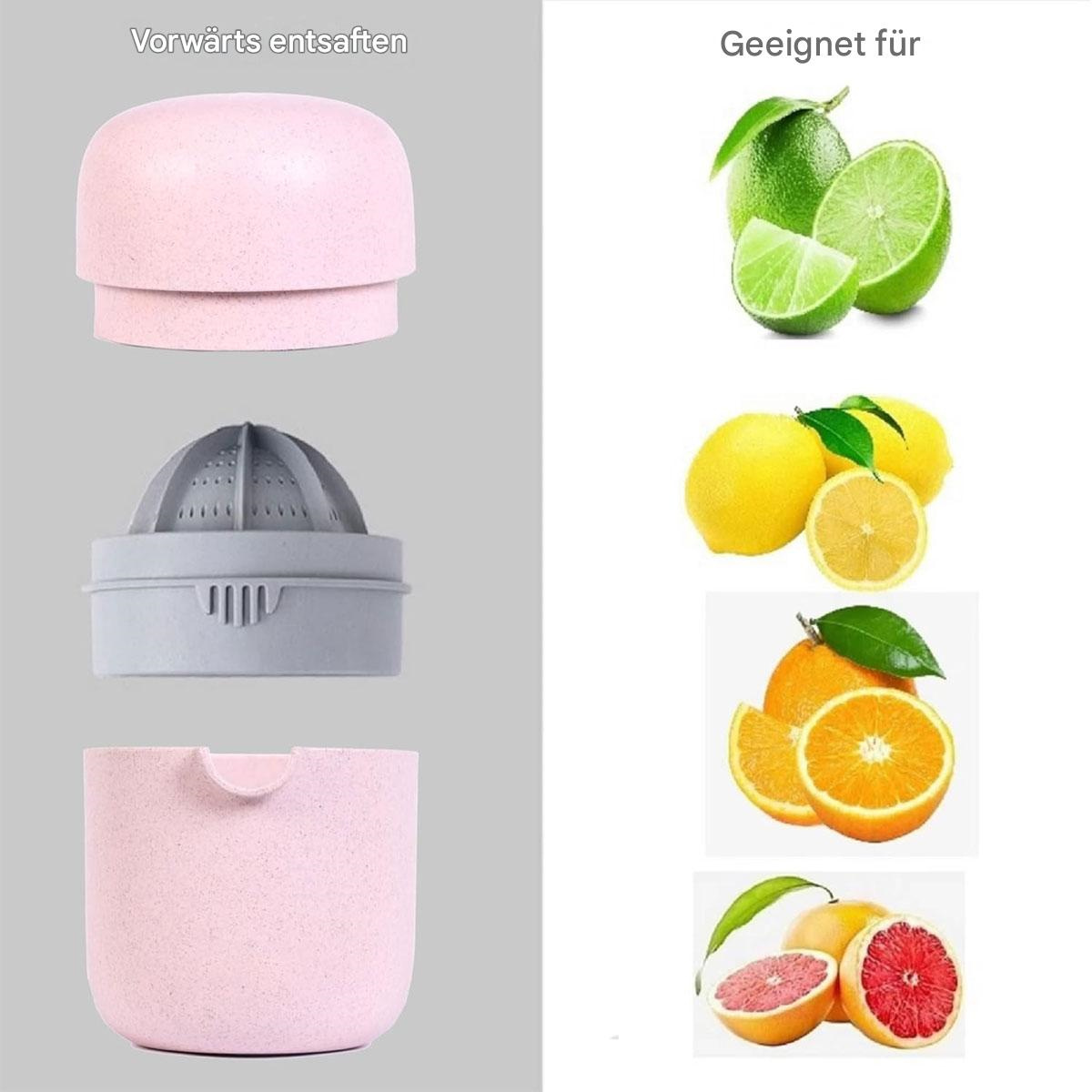 Rosa Entsafter mit Zitronen, Limetten, Orangen und Grapefruit. Hellgrauer Hintergrund.