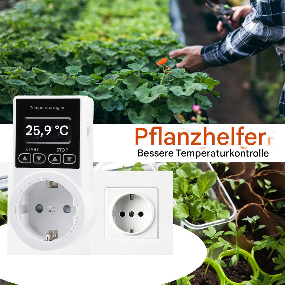 Weiße Steckdose mit Pflanzenhelfer. Pflanzen sind im Hintergrund in einem Gewächshaus zu sehen.