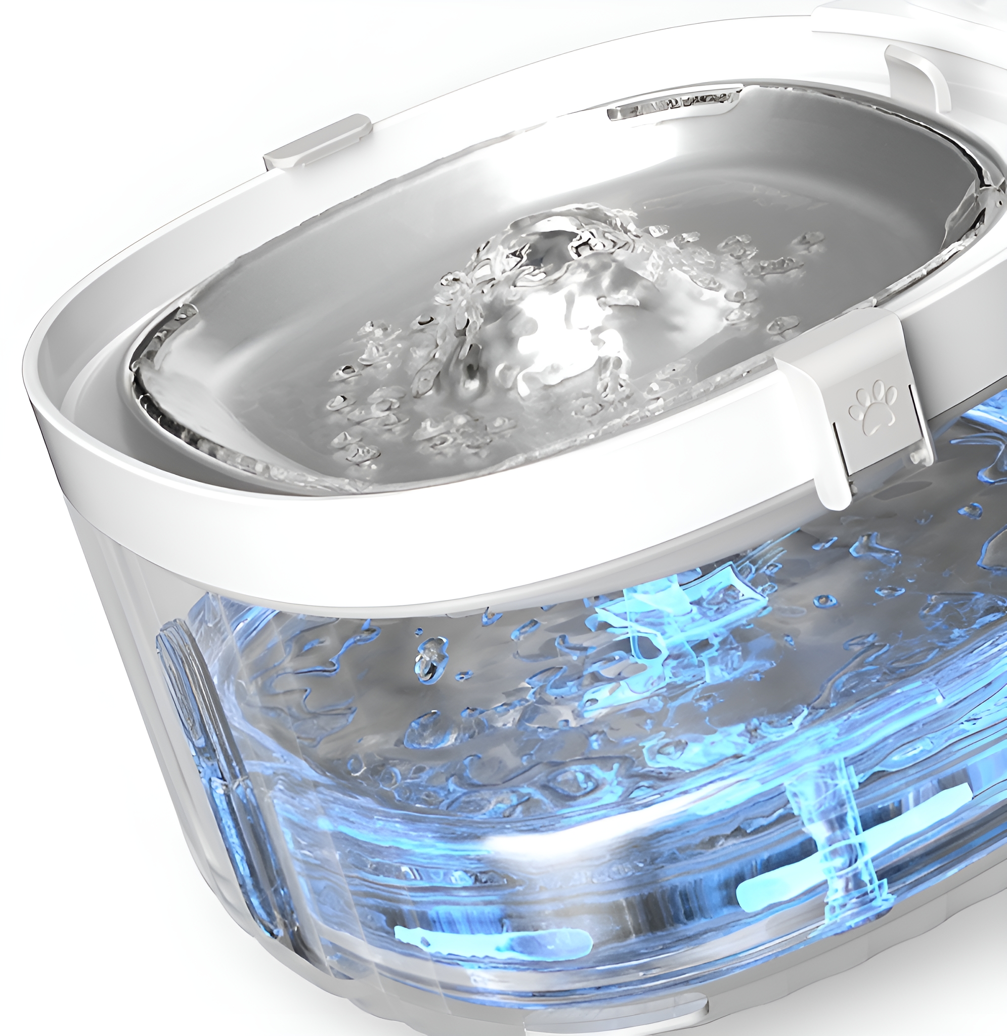 Transparenter Haustier-Wasserspender. Wasser fließt und sprudelt. Ein Pfotenabdruck auf der rechten Seite.