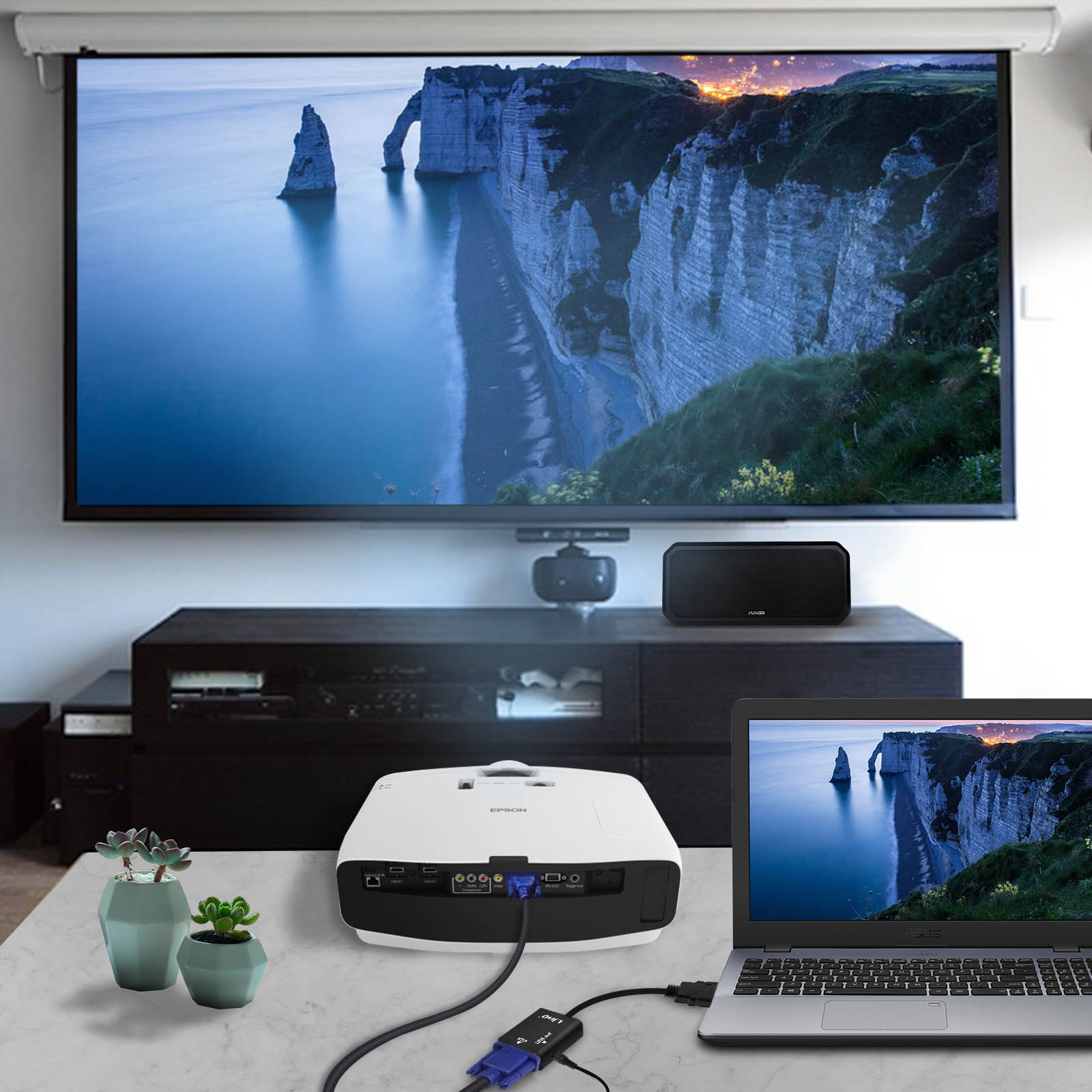 Configurazione proiettore con schermo, laptop e piante.