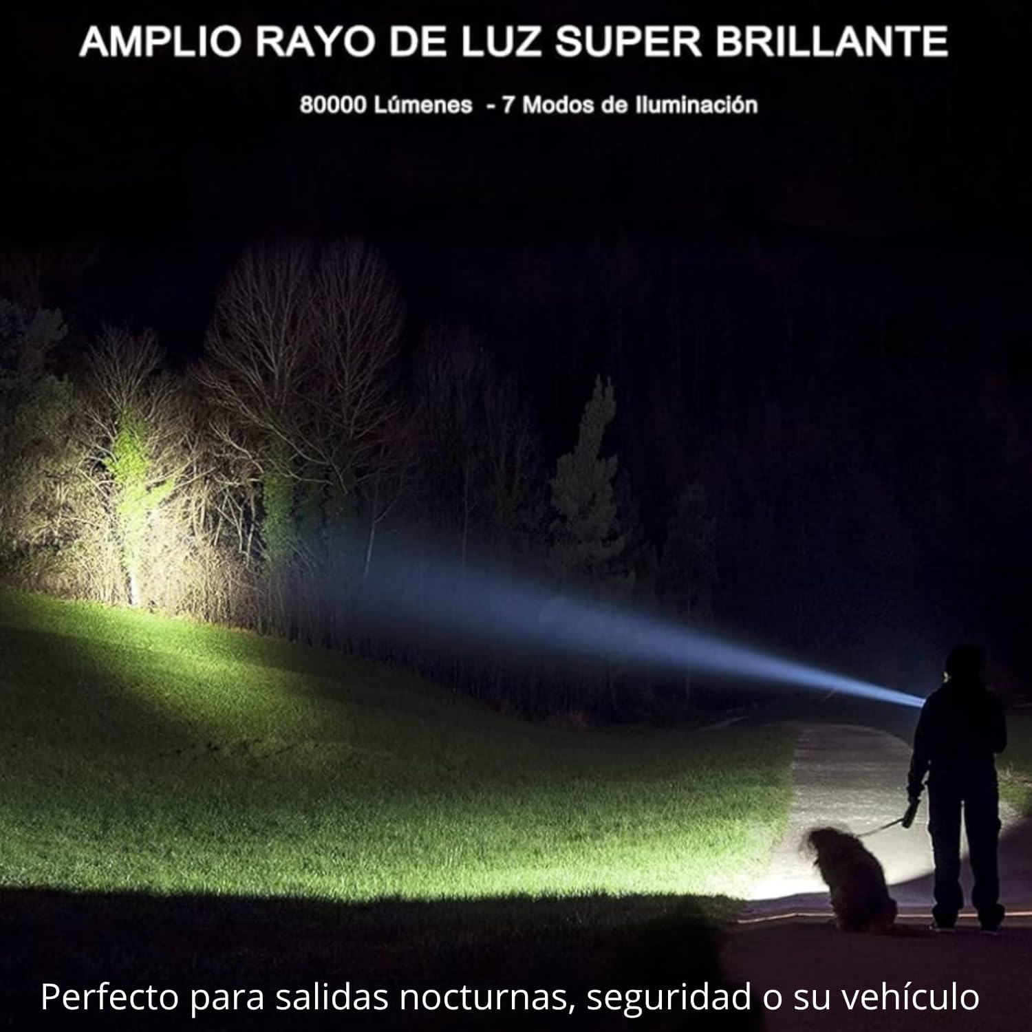 Una persona y un perro iluminados por un haz brillante de una linterna por la noche.
