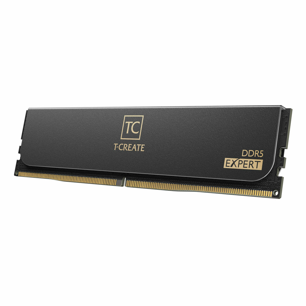 Schwarzes RAM-Modul mit Goldpins. Text: T-CREATE DDR5 EXPERT.