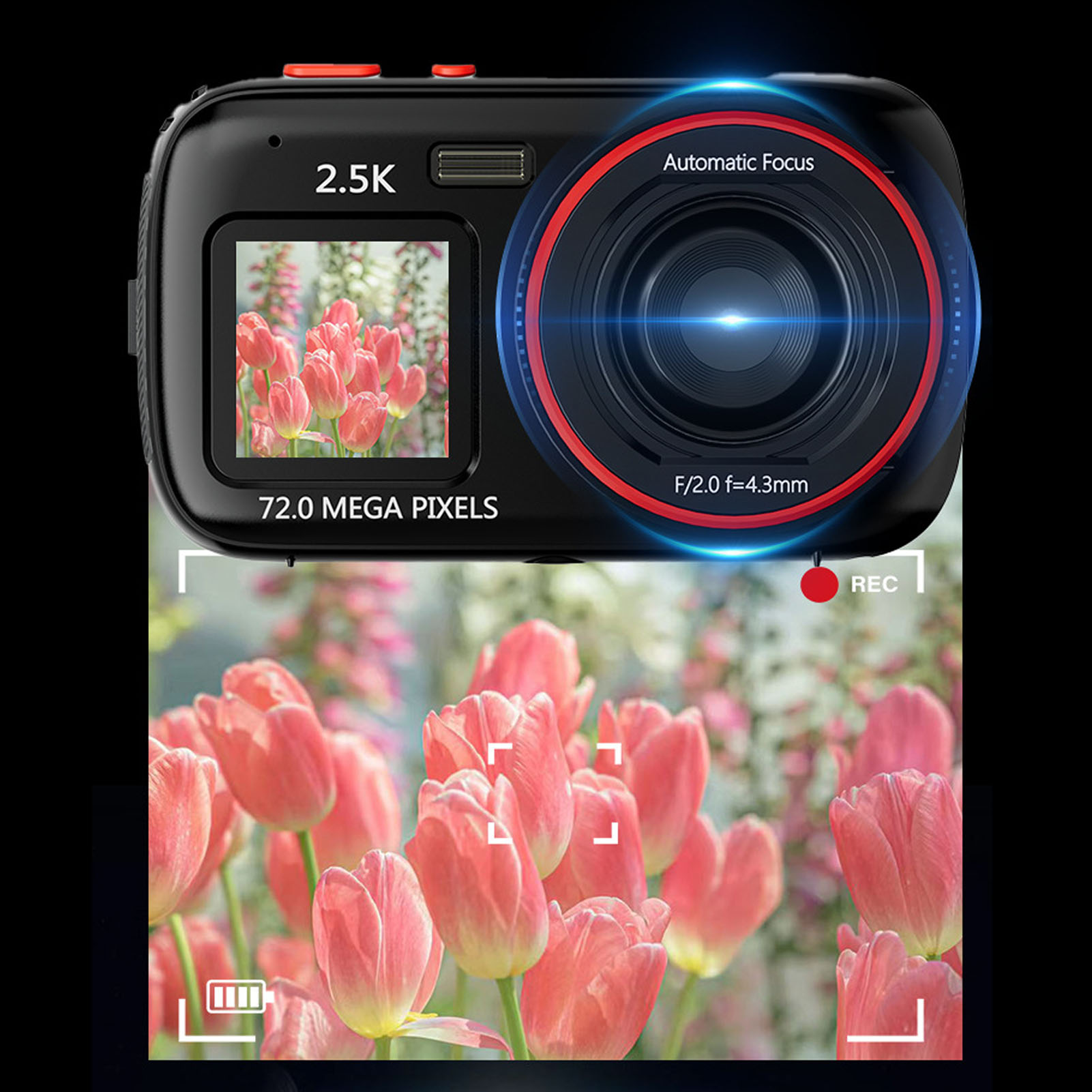 Schwarze Kamera mit Bildschirm, der rosa Blumen zeigt, und Nahaufnahme von rosa Tulpen im Hintergrund.