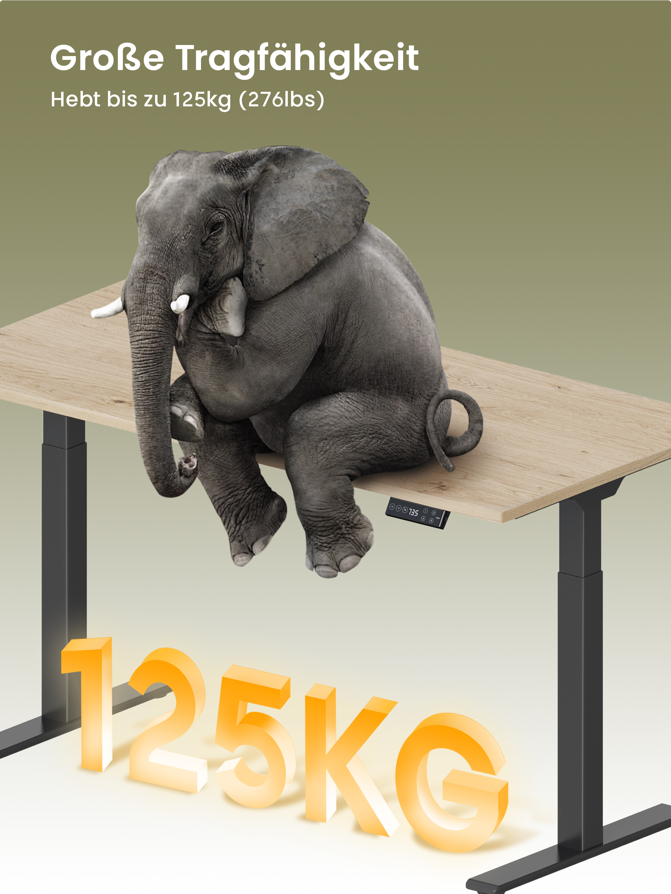 Ein Elefant auf einem Holzschreibtisch, auf dem 125 KG steht.