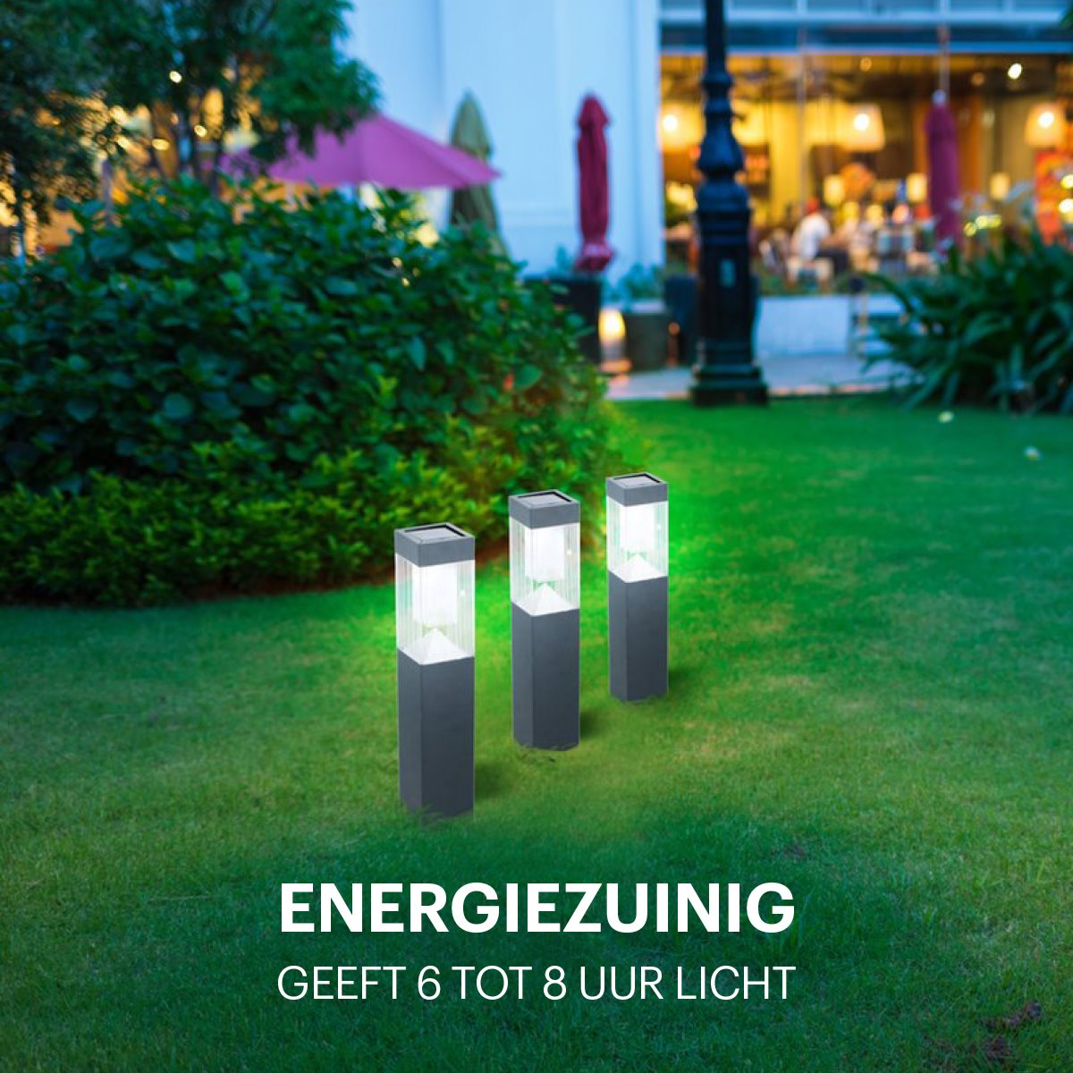 Three outdoor lights on green grass. Text says: Energy efficient, gives 6 to 8 hours of light.