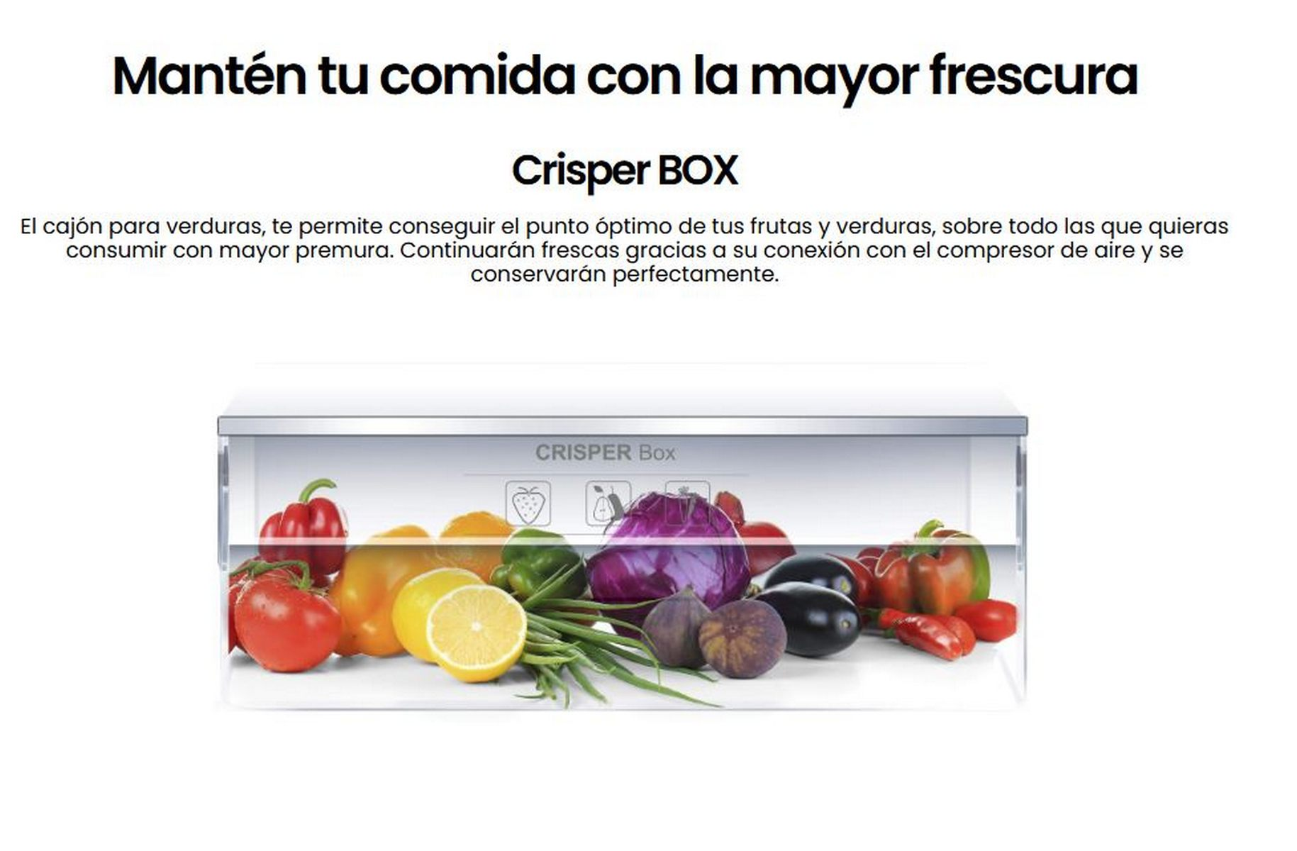 Cajón de verduras del refrigerador lleno de productos frescos, incluidos tomates, limones y pimientos.