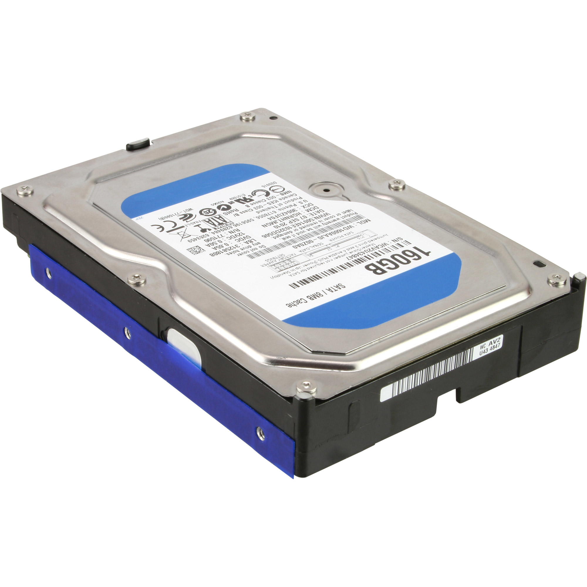 Eine Computerfestplatte. Sie ist metallisch mit blauen und schwarzen Details und einem blauen Etikett.