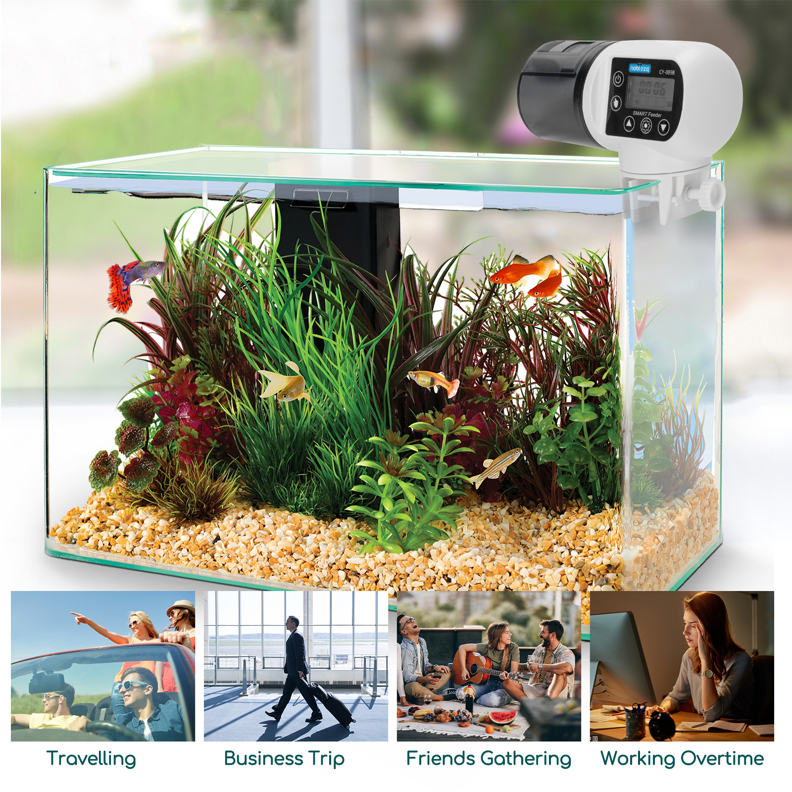 Acuario con peces y plantas, con imágenes insertadas de personas viajando y trabajando.
