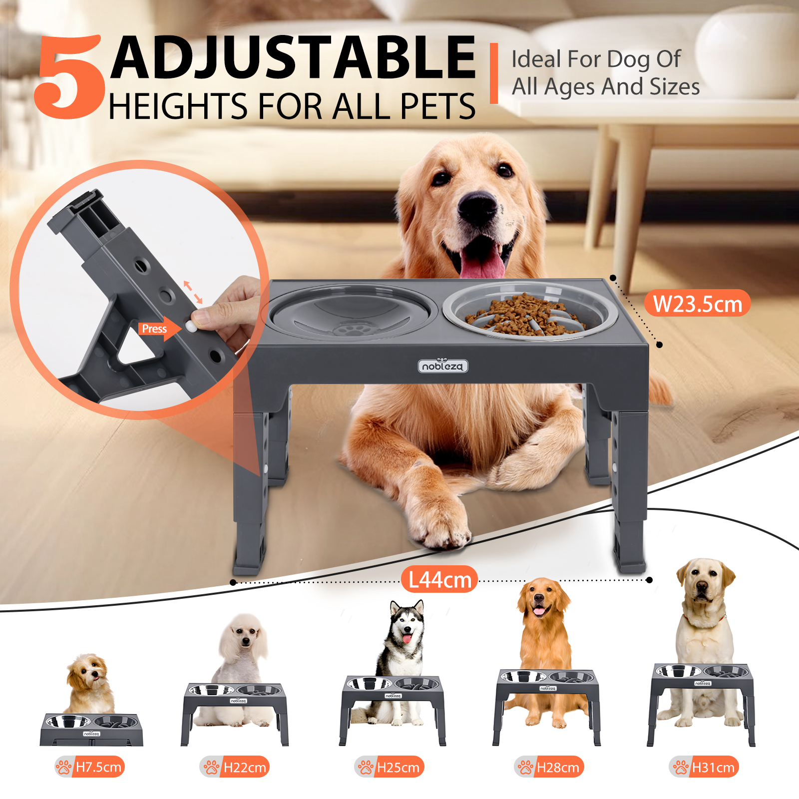 Comedero ajustable para mascotas con cuencos para comida y agua. Un golden retriever y perros pequeños al fondo.