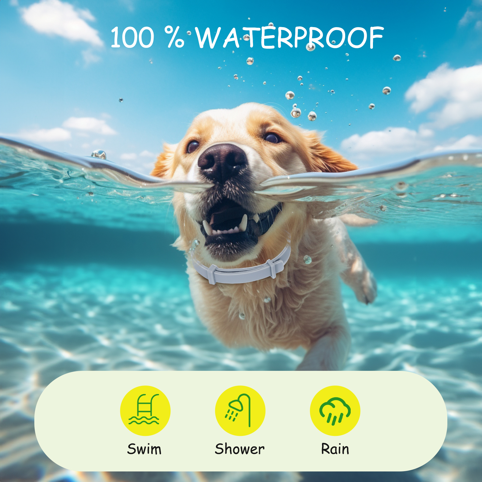 Un perro en el agua con un collar blanco. Los iconos indican que el collar es seguro para nadar, ducharse y la lluvia.