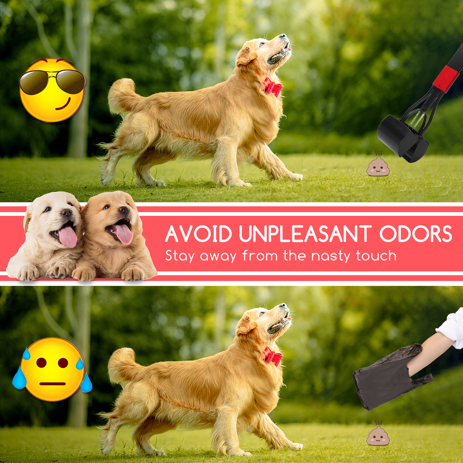 Dos perros en un área con hierba. Uno usa gafas de sol, el otro no. Se muestran bolsas de caca.