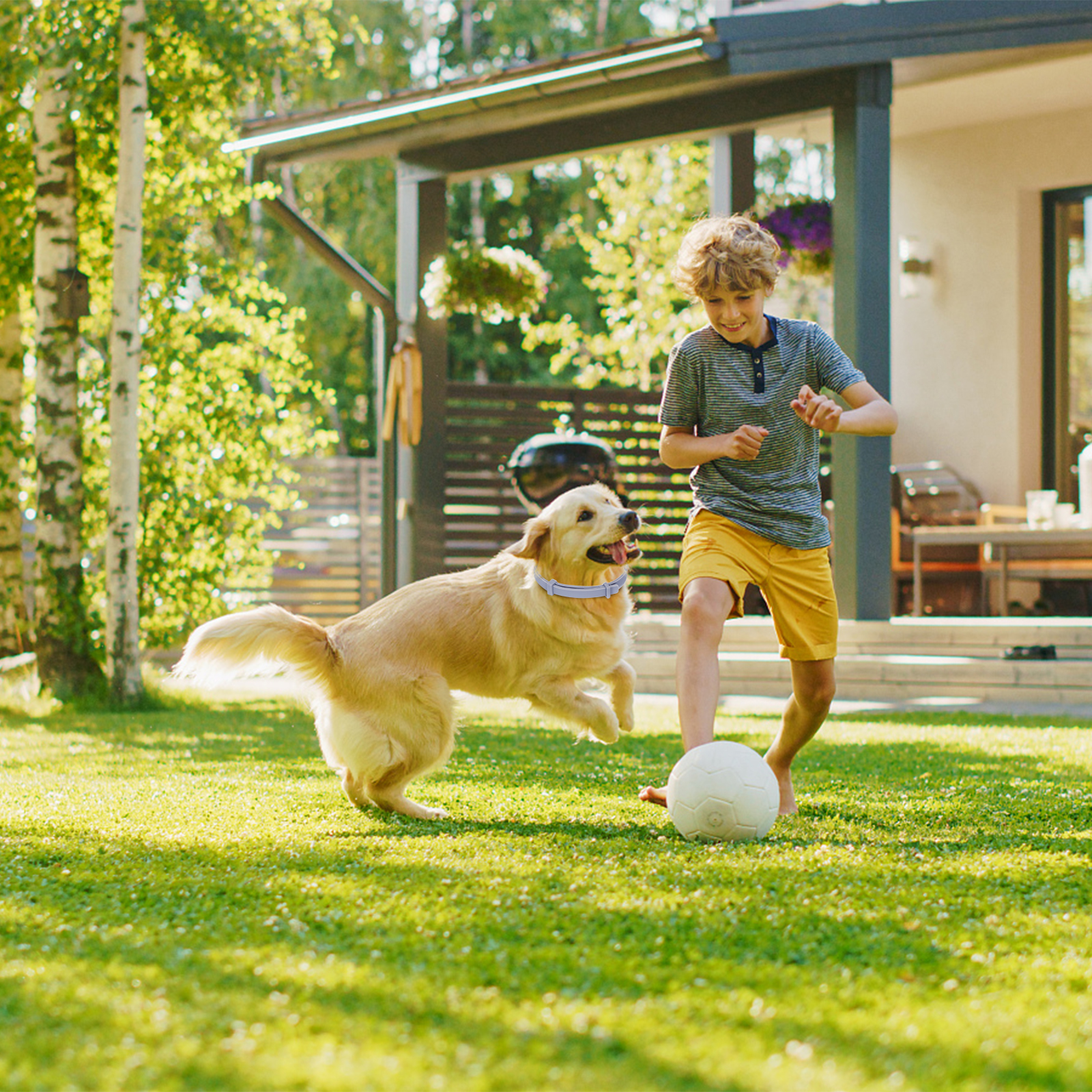 Un niño patea una pelota de fútbol mientras un perro corre cerca en un césped verde frente a una casa.