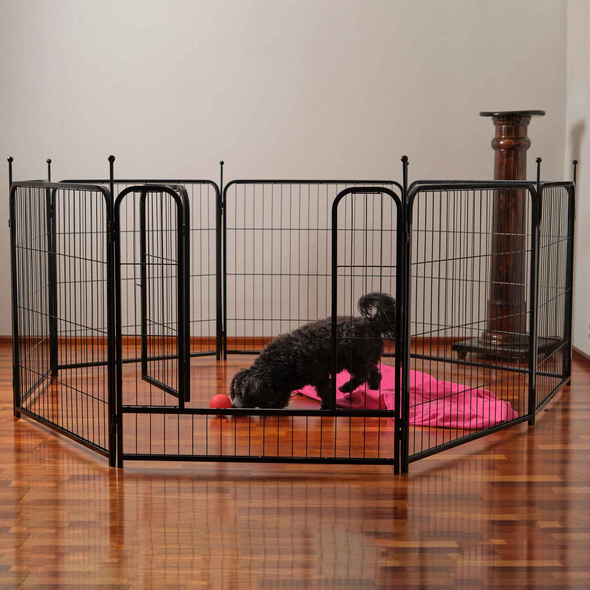 Schwarzer Hund in schwarzem Gehege mit rosa Decke.