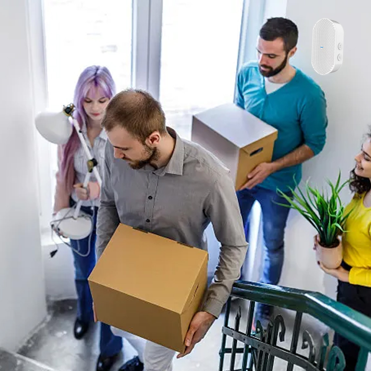 Vier Personen tragen Kisten und Gegenstände die Treppe hoch.