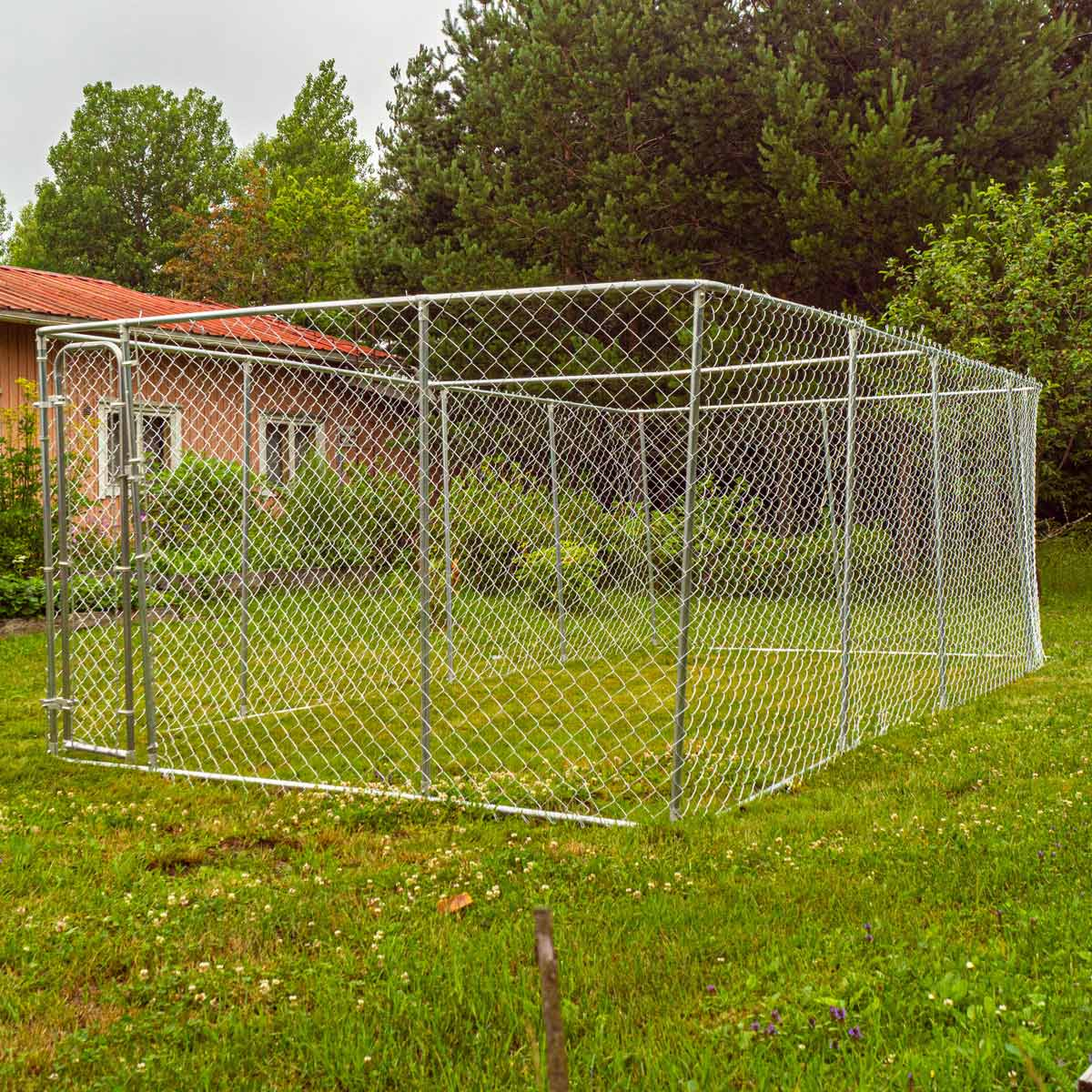 Hundeauslauf mit Maschendrahtzaun. Grünes Gras, Bäume und ein Haus im Hintergrund.