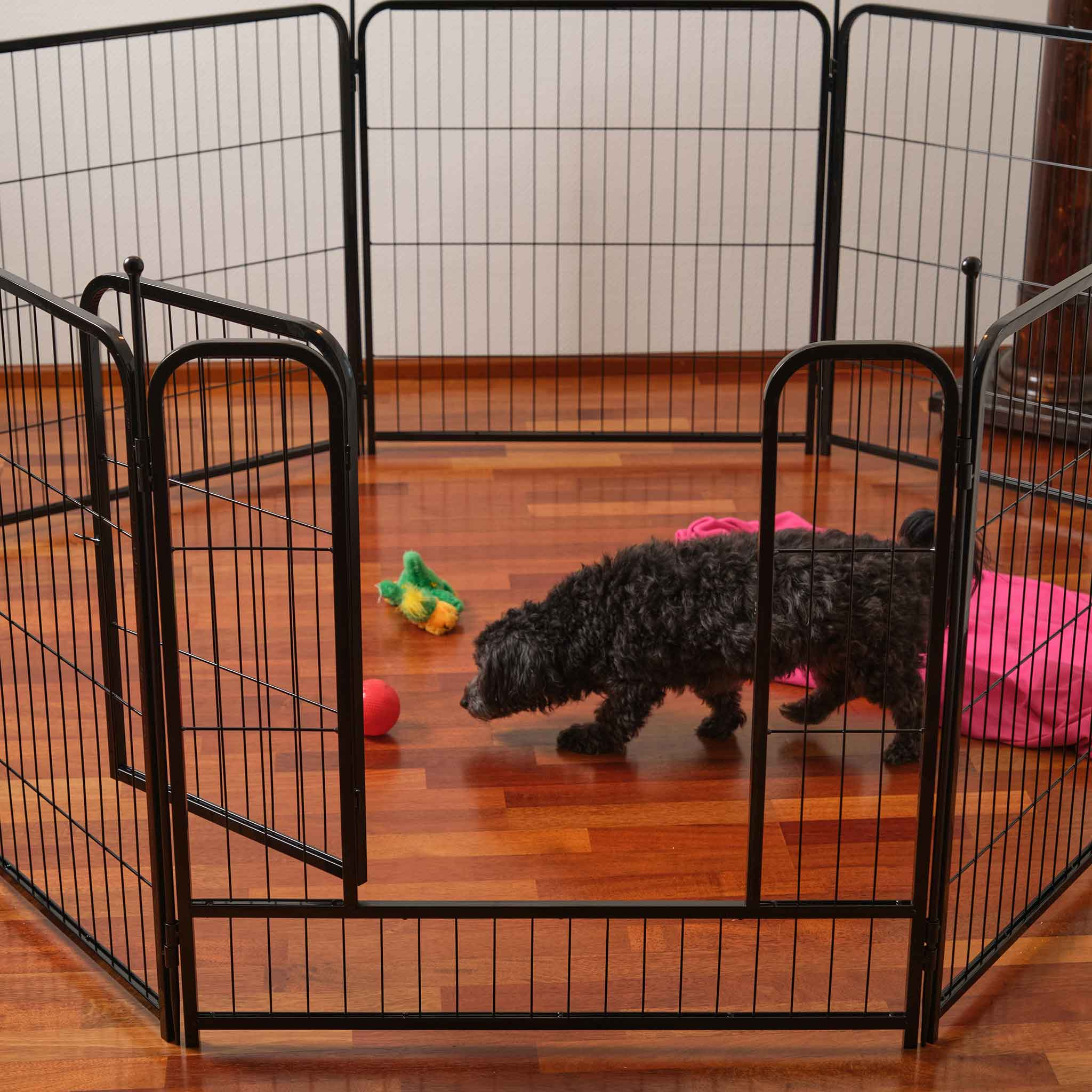 Ein kleiner schwarzer Hund in einem schwarzen Drahtzaungehege mit Spielzeug und einer rosa Tasche auf dem Boden.