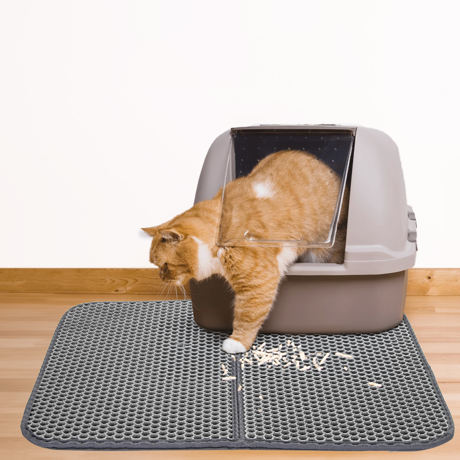 Un gato en una caja de arena, sobre una alfombra, con arena esparcida. Una alfombra gris debajo.