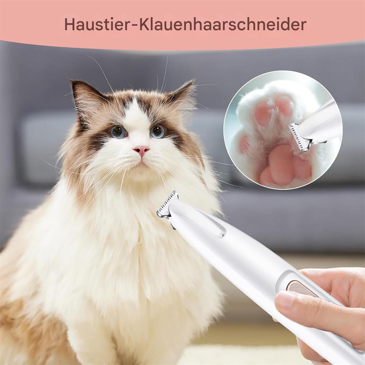 Eine Katze wird mit einem Clipper gepflegt. Der Clipper befindet sich in der Nähe der Katzenpfote.