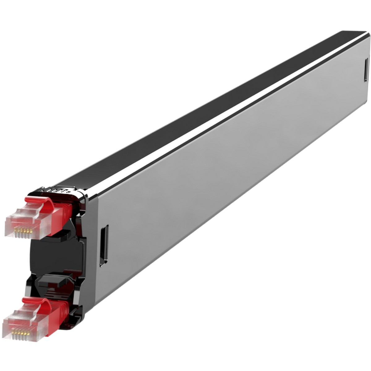 Un dispositivo argentato rettangolare con due porte Ethernet rosse.