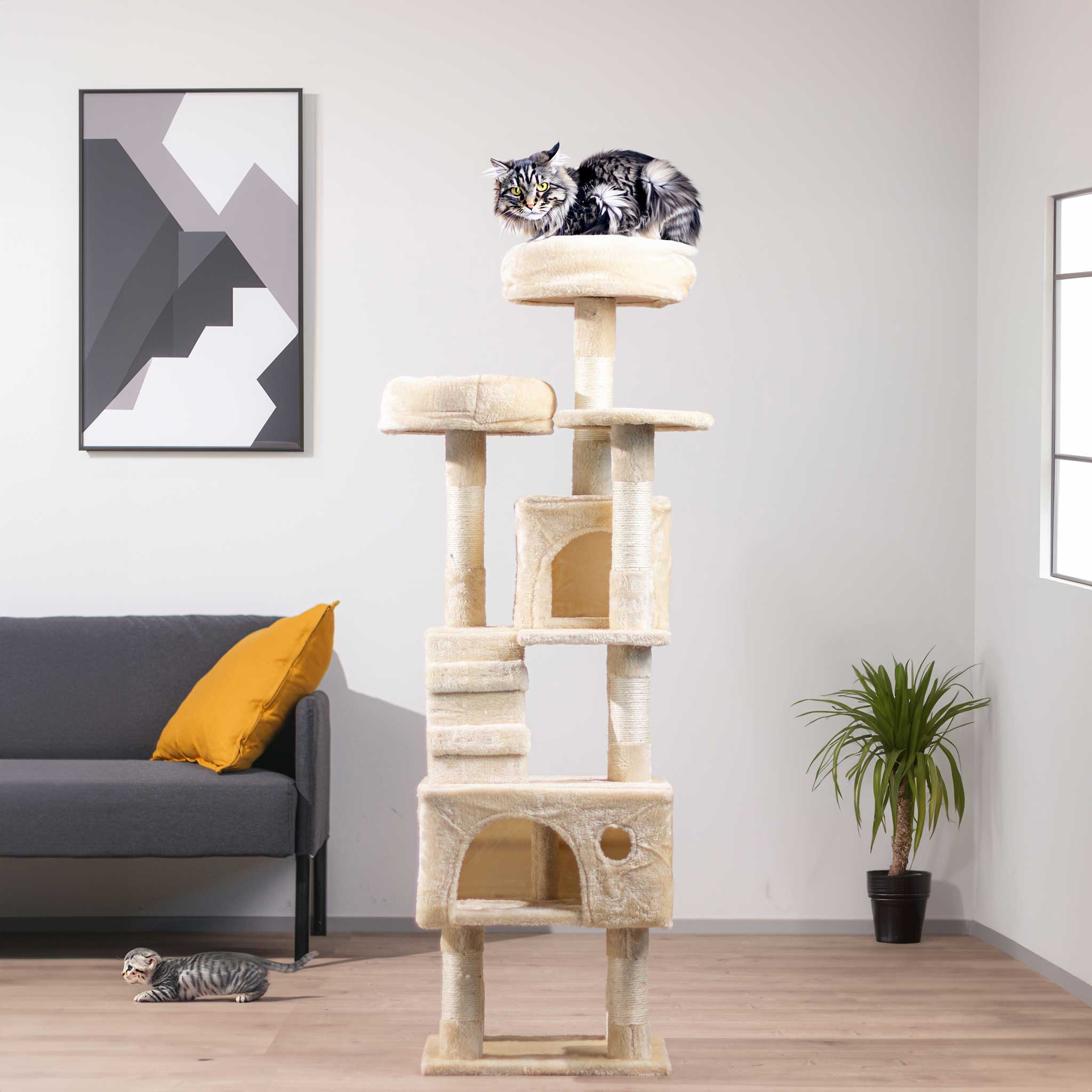 Drzewo dla kota z kotem na górze, innym kotem na dole i obrazem na ścianie.