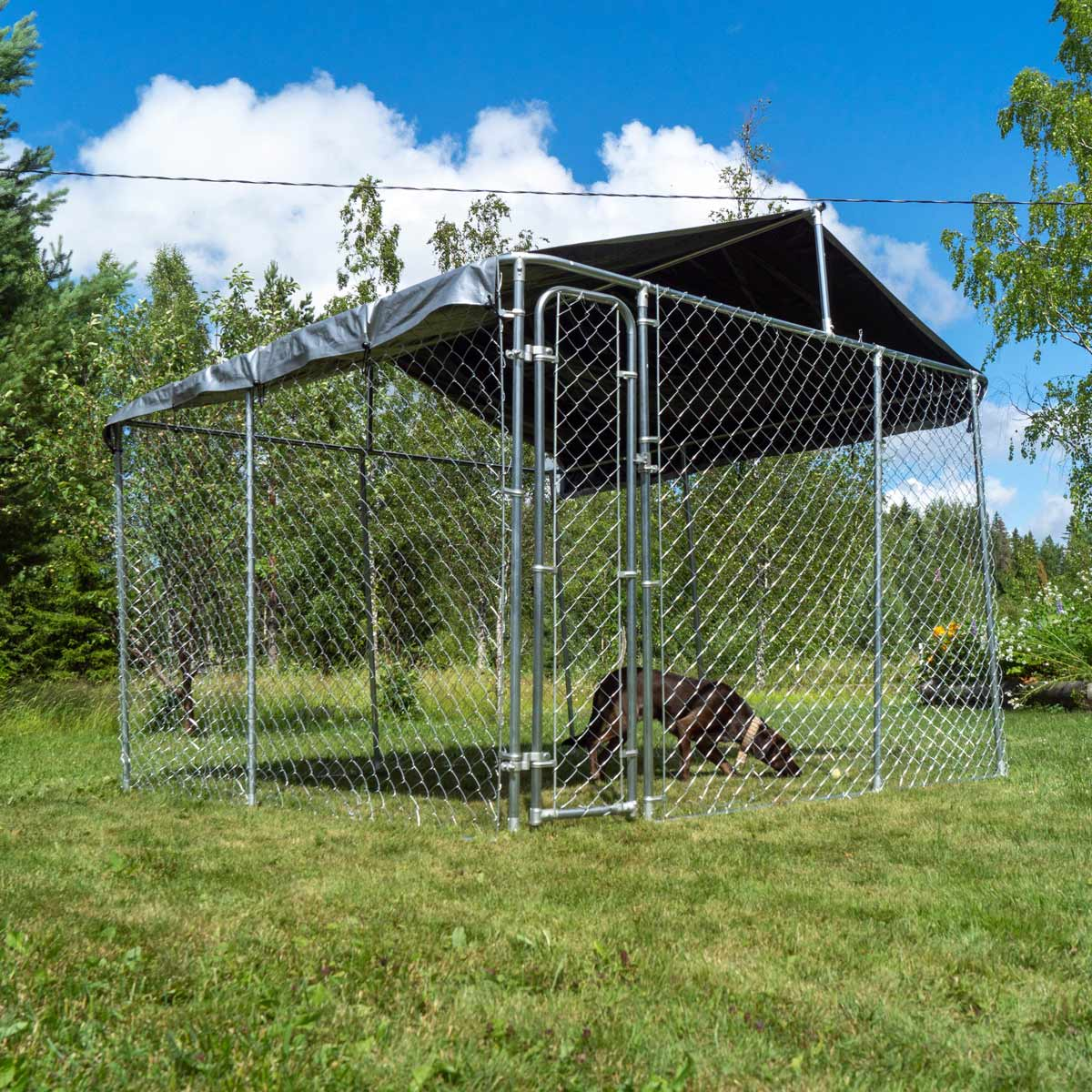 Metall-Hundezwinger auf Gras mit schwarzem Dach, Hund darin.