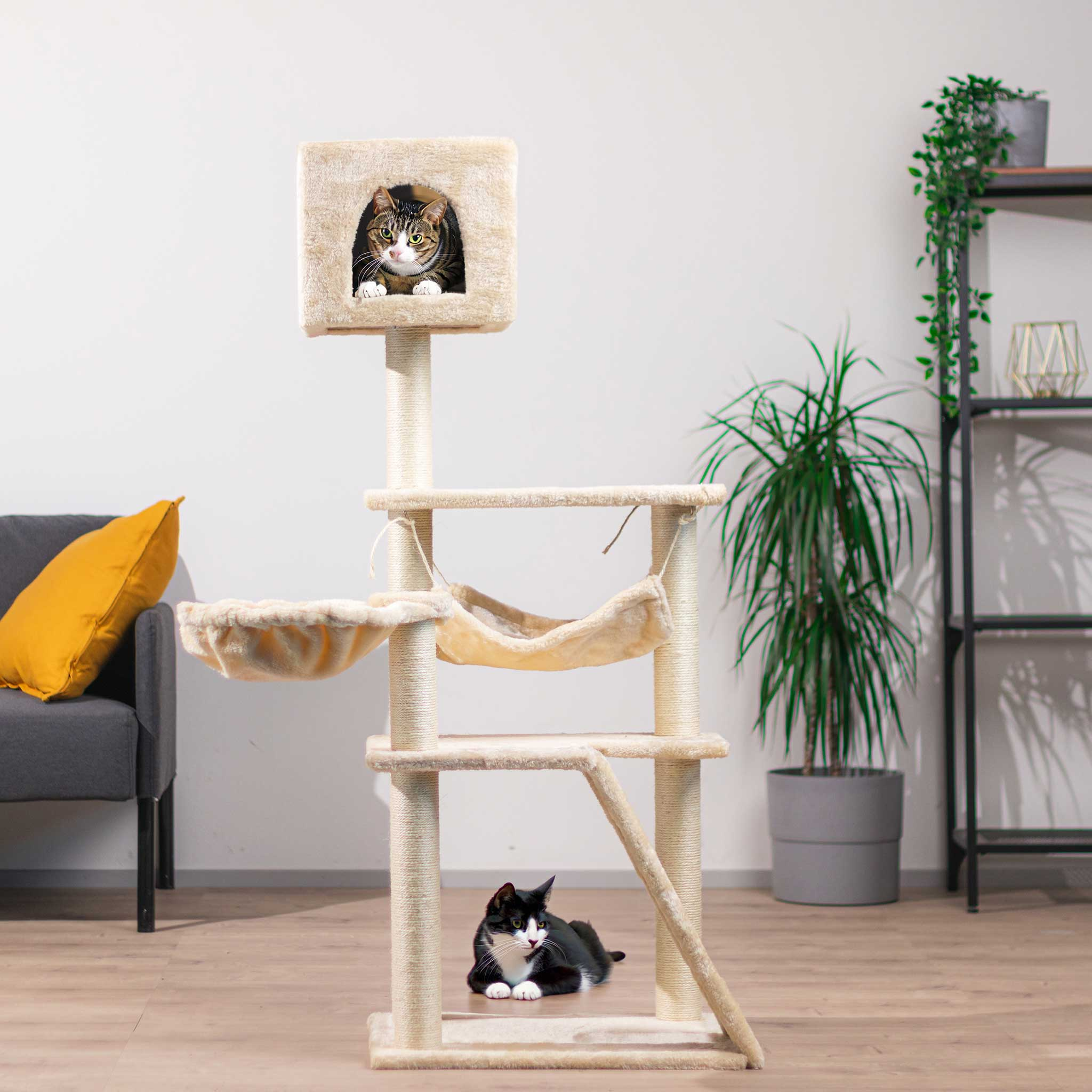Ein Katzenturm mit zwei Katzen, eine in einem Versteck und eine auf dem Boden.