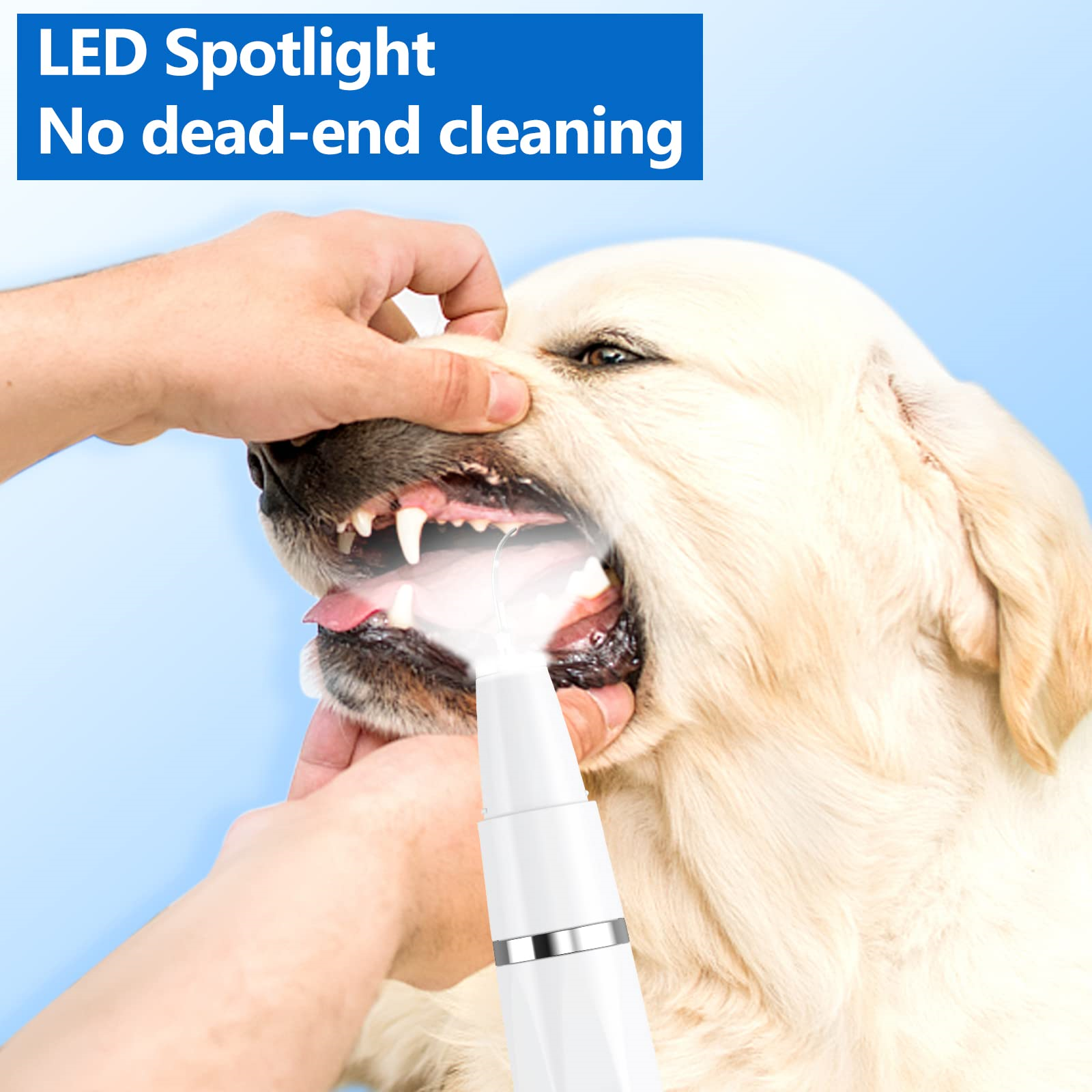 Das Maul eines Hundes ist geöffnet und wird mit einem weißen LED-Lichtwerkzeug gereinigt. Der Hund ist hellfarbig.