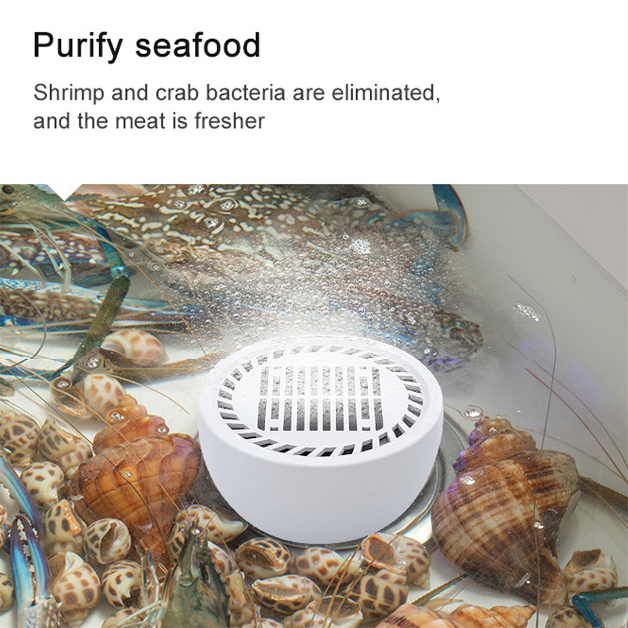 Meeresfrüchte in einem Tank, weißes Gerät darin. Text: Meeresfrüchte reinigen, Bakterien eliminieren.