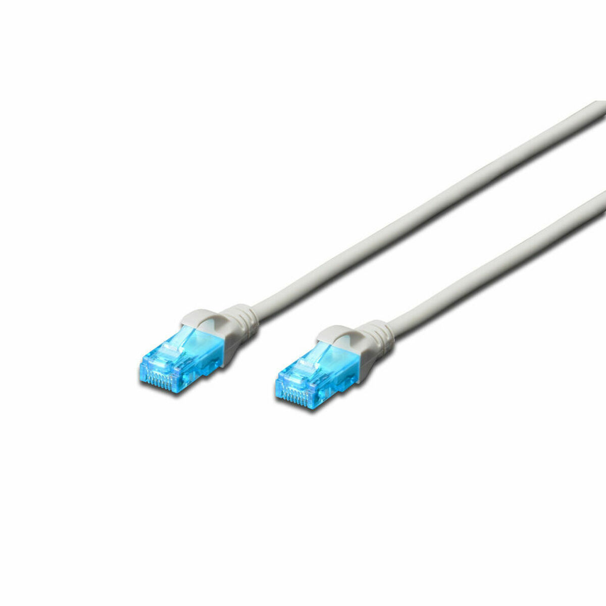 Deux câbles Ethernet gris avec des connecteurs bleus.