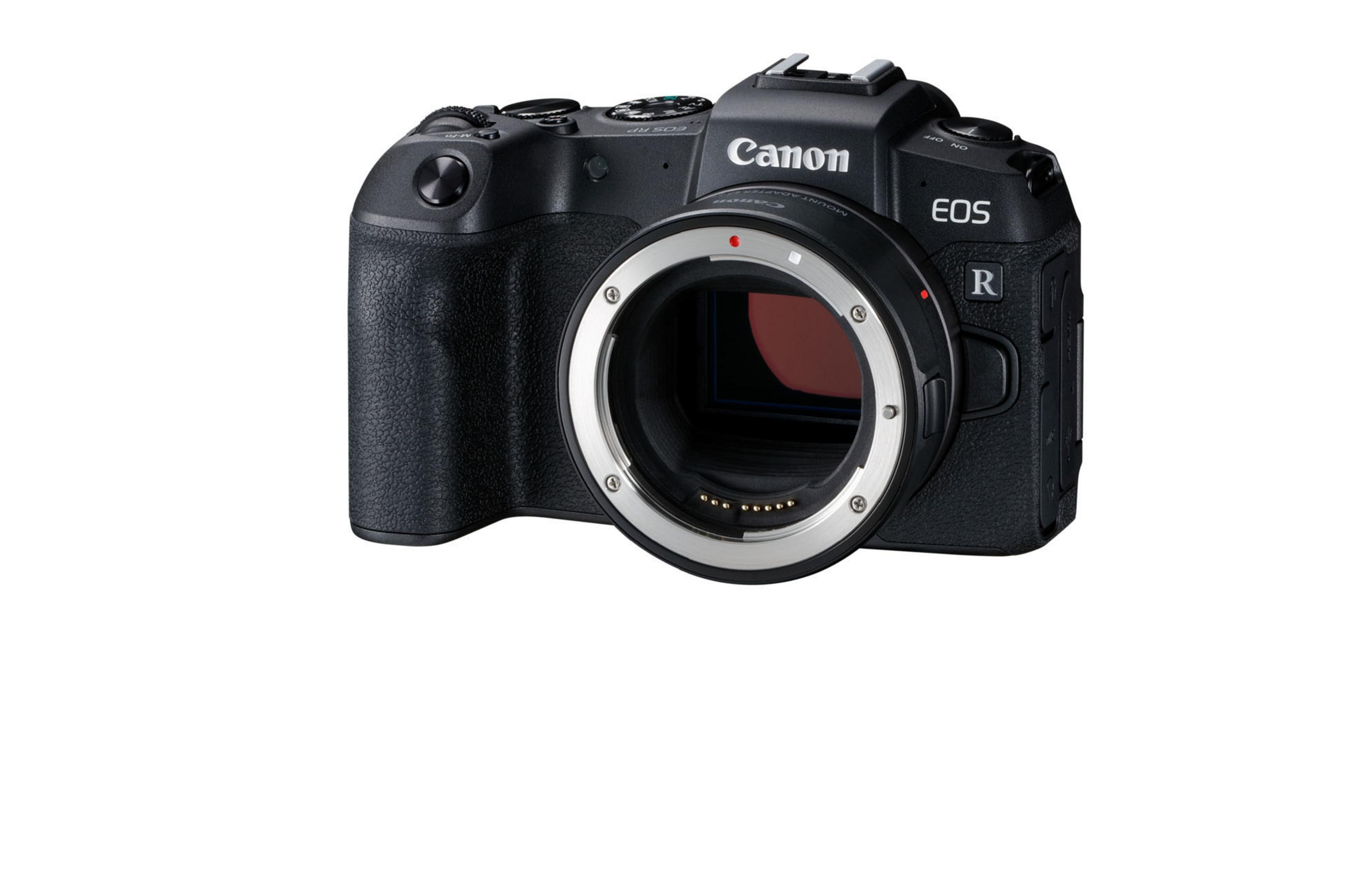 Eine schwarze Canon EOS R Kamera. Das Objektiv ist mit silbernem Anschluss sichtbar. Auf weißem Grund.