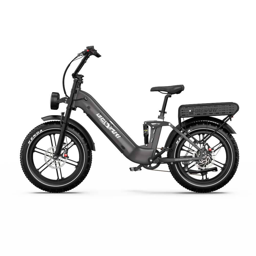 Ein graues Elektrofahrrad vor weißem Hintergrund. Das Fahrrad hat dicke Reifen und einen Gepäckträger.