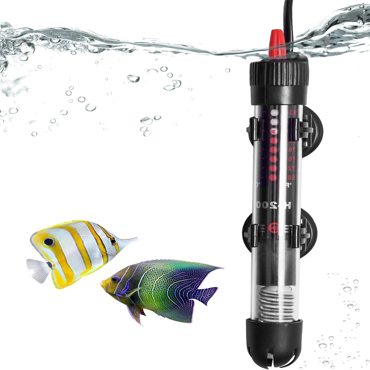 Aquarium mit zwei bunten Fischen und einem schwarzen Aquarienheizer. Weißer Hintergrund.