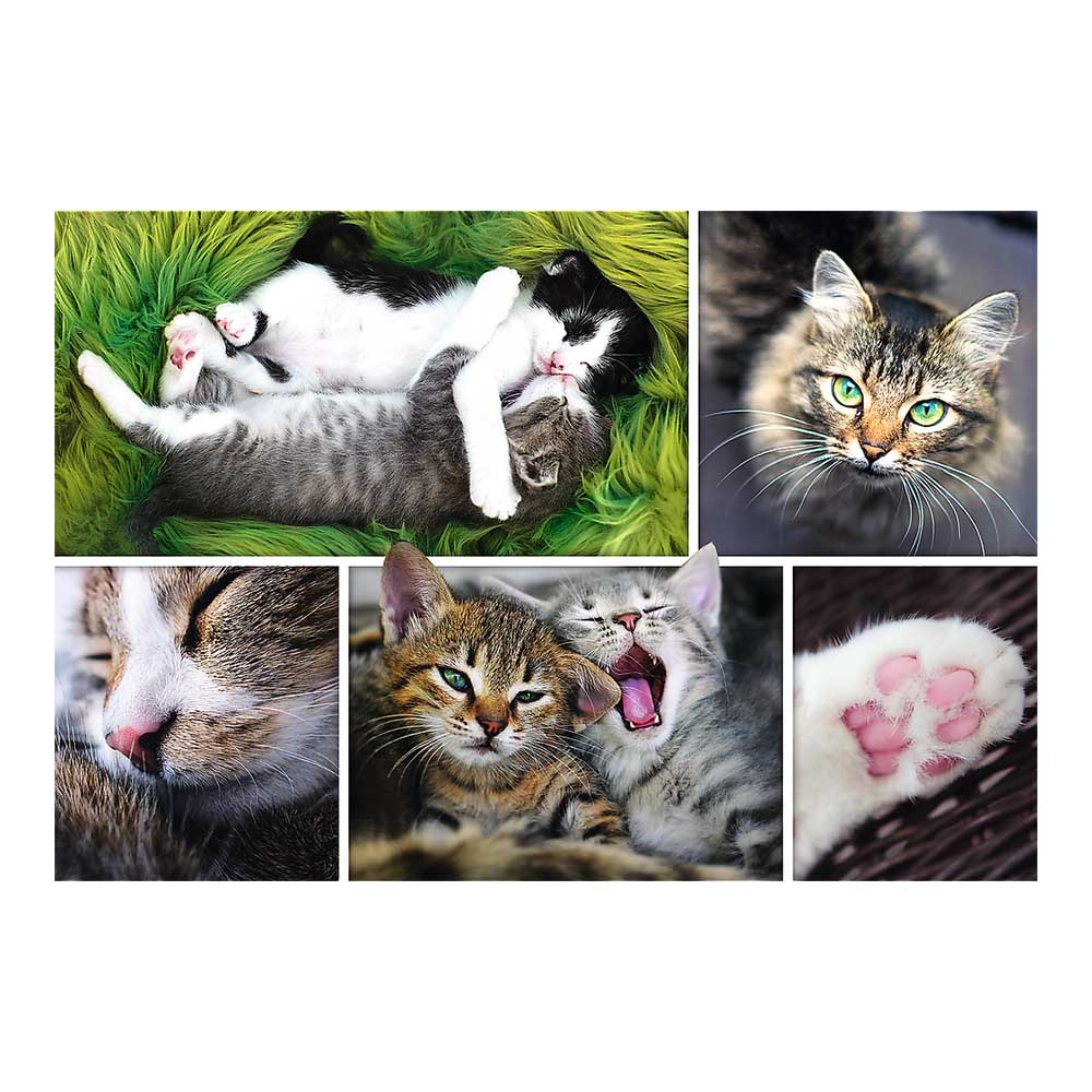 Puzzle z kotami. Zbliżenia na twarze i łapy kotów, koty przytulające się.