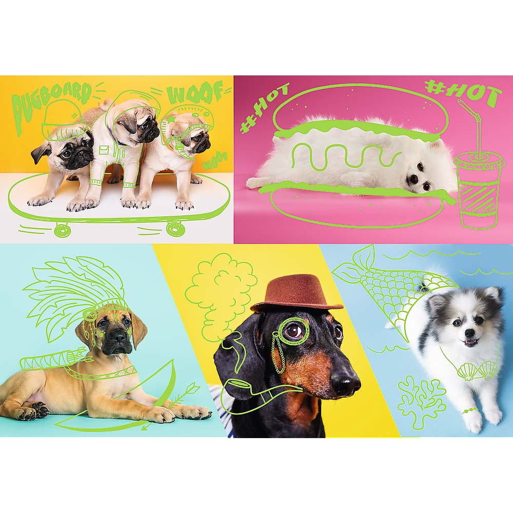 Puzzle di cani in pose divertenti. Carlini su uno skateboard, un cane in un hot dog.