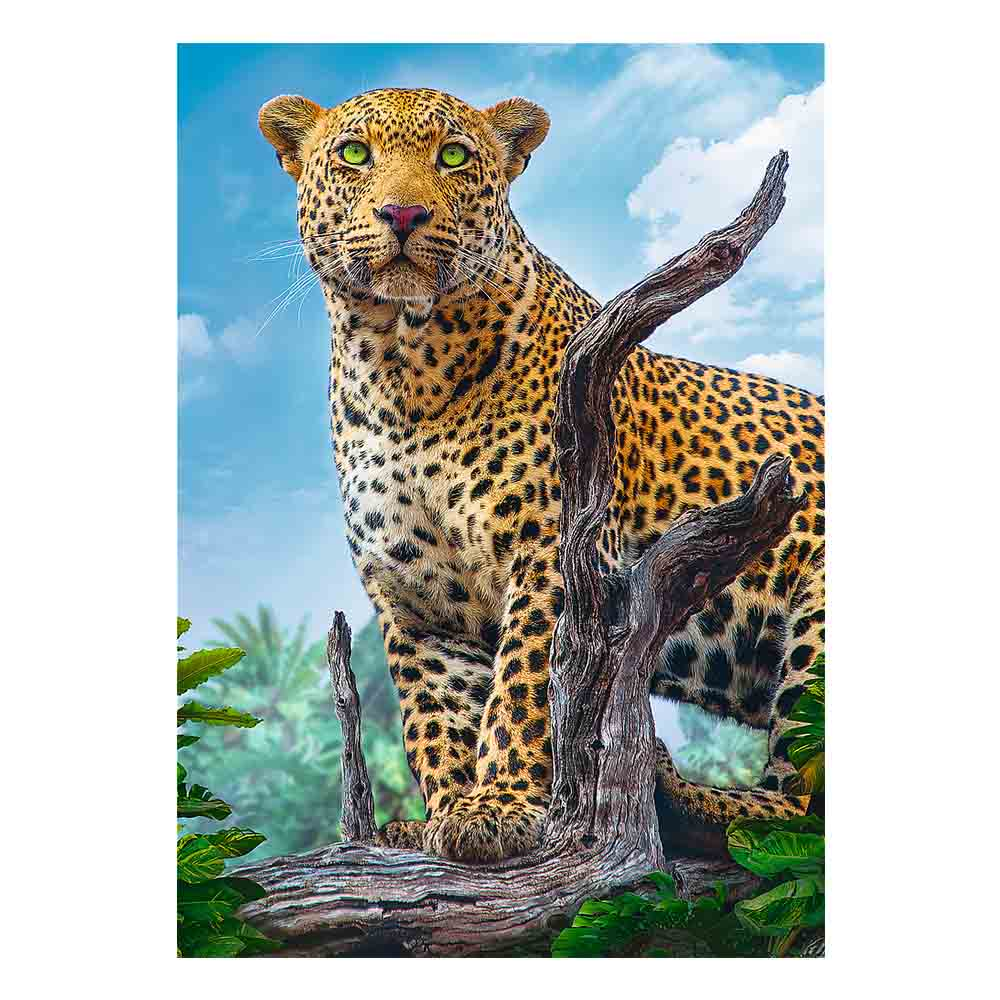 Leopard Puzzle. Leopard auf einem Ast, der nach vorne schaut.