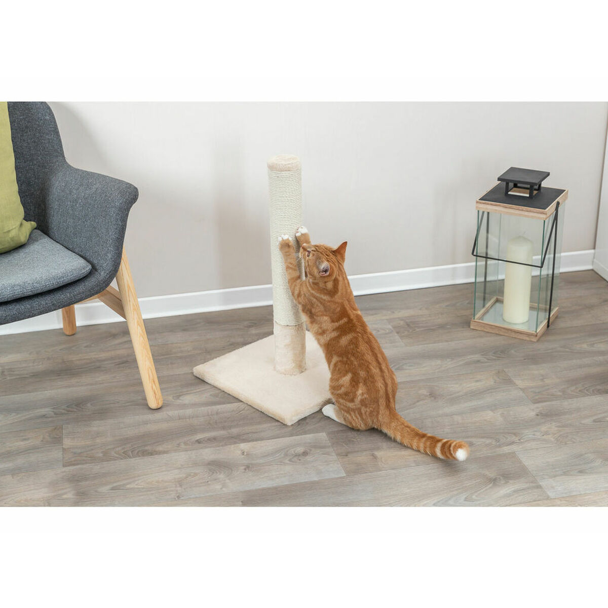 Orangefarbener getigerter Katze kratzt an einem beigen Kratzbaum in einem Raum mit Holzböden.