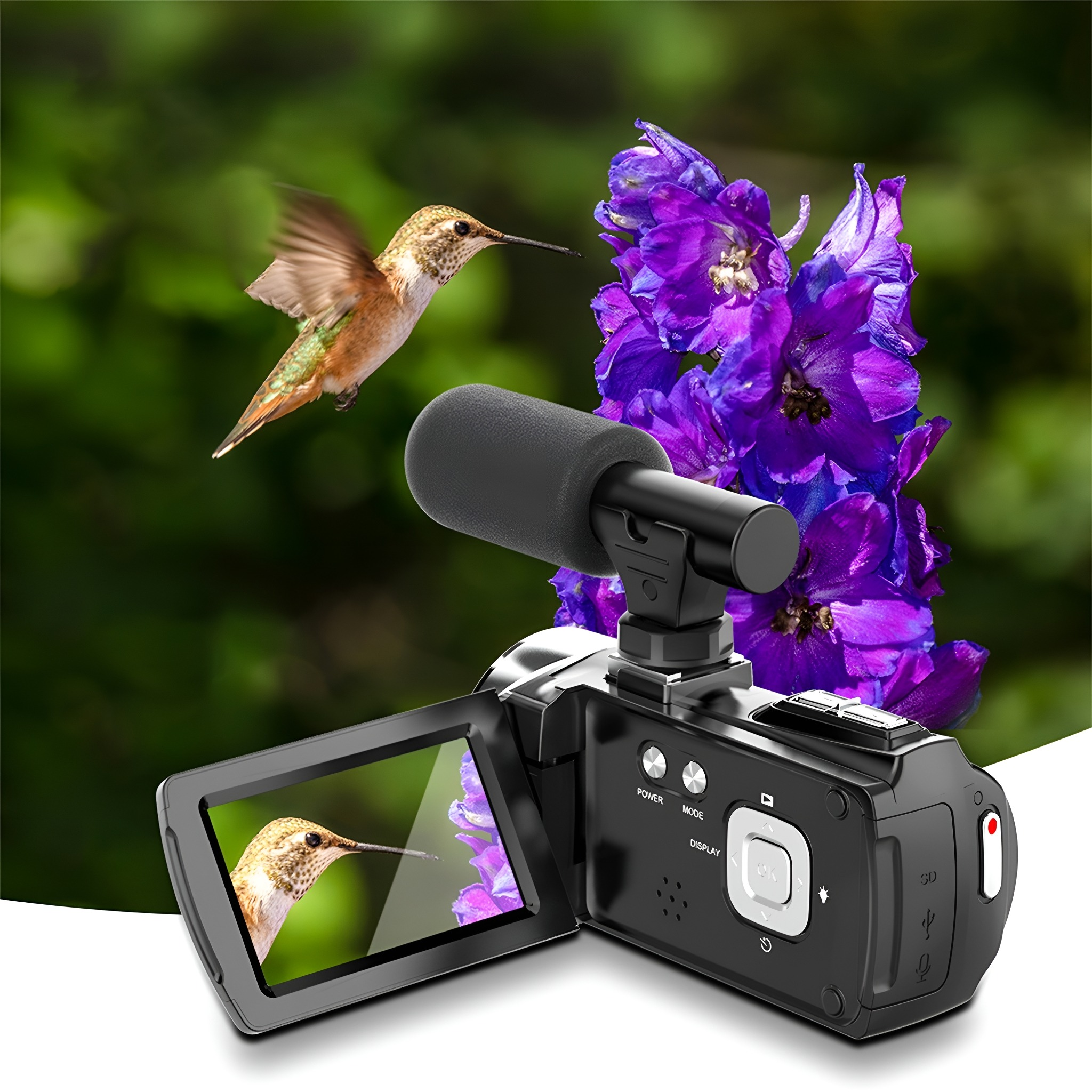 Ein Kolibri im Flug wird mit einer Videokamera und einer Blume aufgenommen.