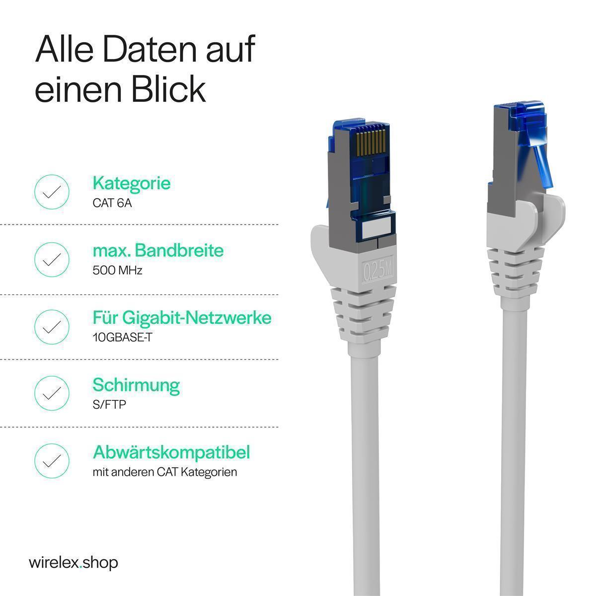 Weißes Netzwerkkabel mit blauen Steckern. Textetiketten und Informationen auf der Seite.