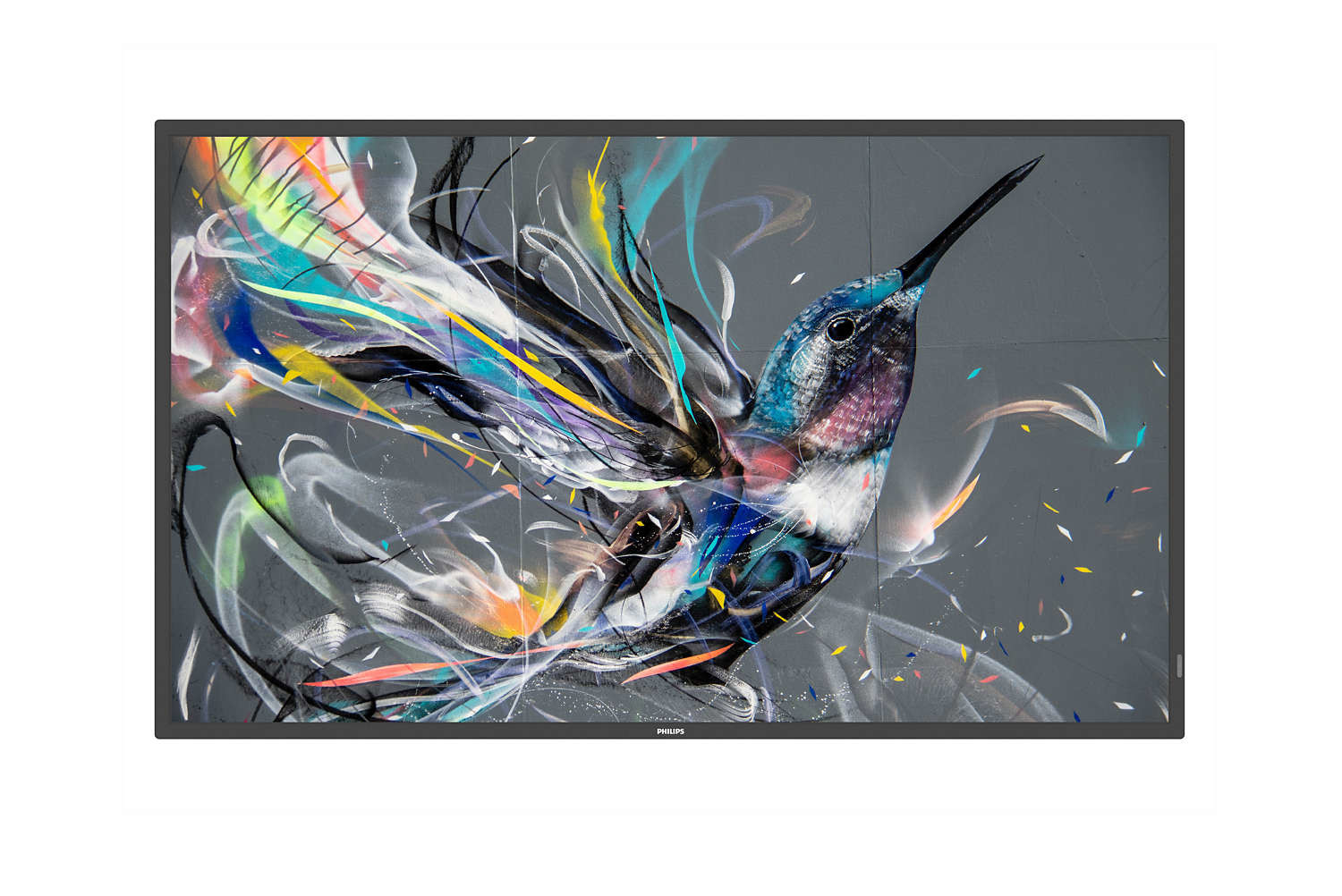 Schermo grande con un'opera di graffiti di colibrì. Cornice nera, sfondo grigio.