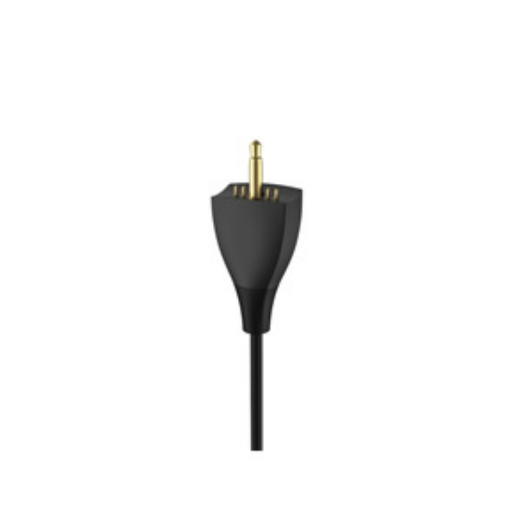Ein schwarzer Stecker mit Goldstiften, zum Aufladen, auf weißem Hintergrund.