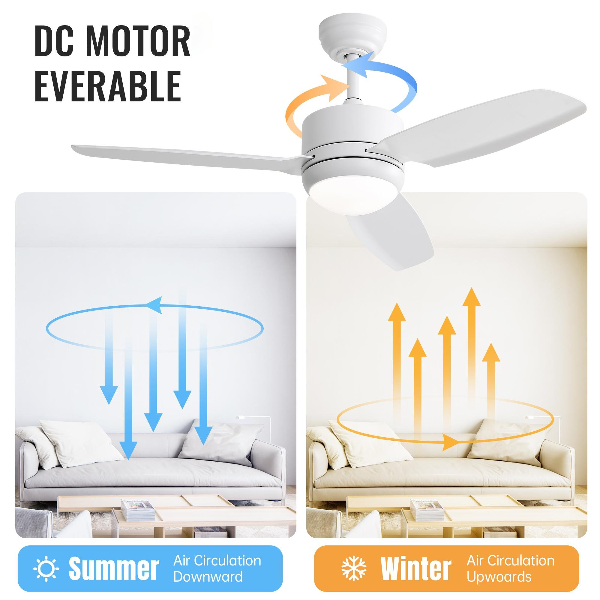 Diagramm, das die Luftzirkulation im Sommer und Winter mit einem Deckenventilator zeigt.
