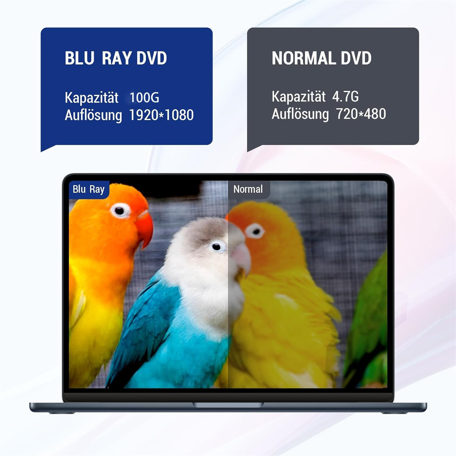 Ein Laptop-Bildschirm zeigt ein geteiltes Bild von Papageien, verglichen mit Blu-Ray- und Normal-DVD-Qualität.
