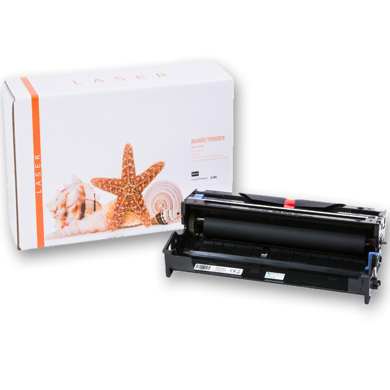 Weiße Schachtel mit der Aufschrift 'LASER', mit Trommel und Seestern, Muscheln. Weißer Hintergrund.