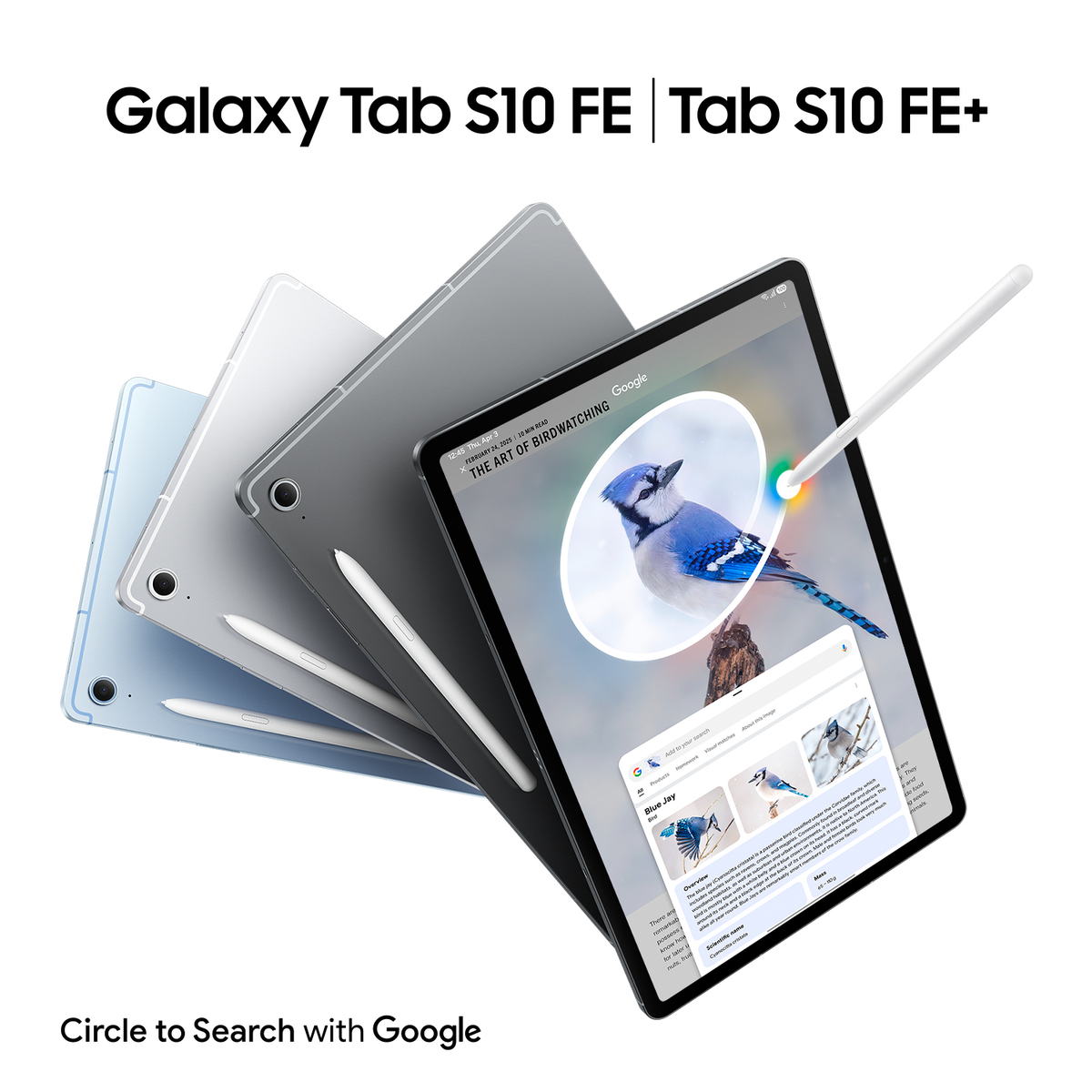 Trzy tablety Galaxy Tab S10 FE, z rysikiem, na białej powierzchni, pokazujące zdjęcia ptaków.
