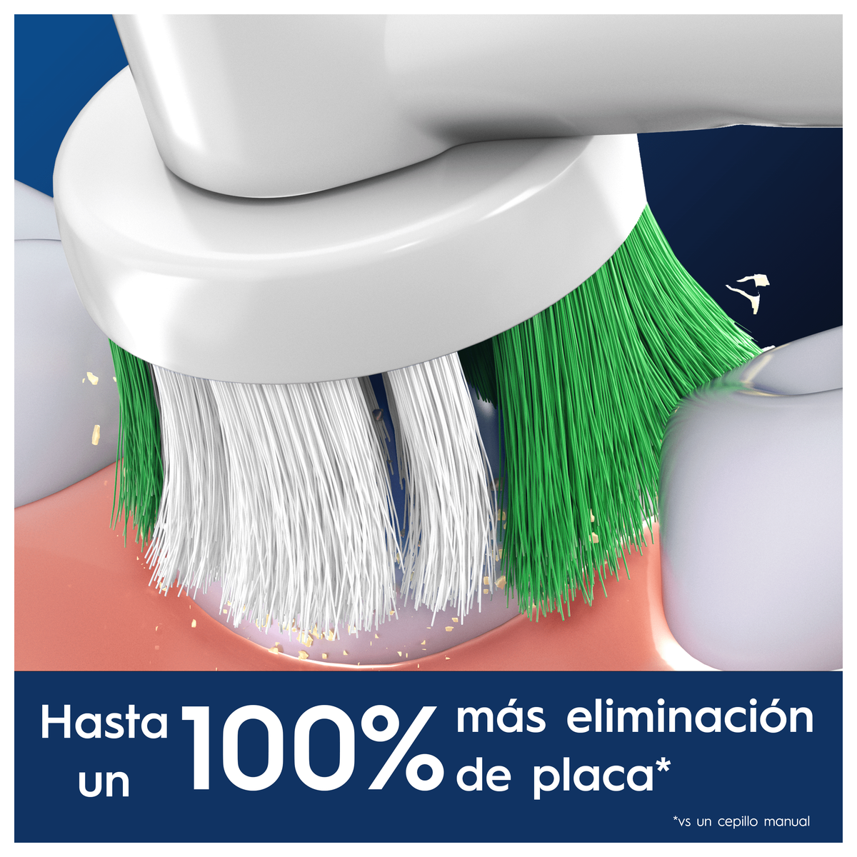 Primo piano della testina dello spazzolino. Setole verdi e denti bianchi.